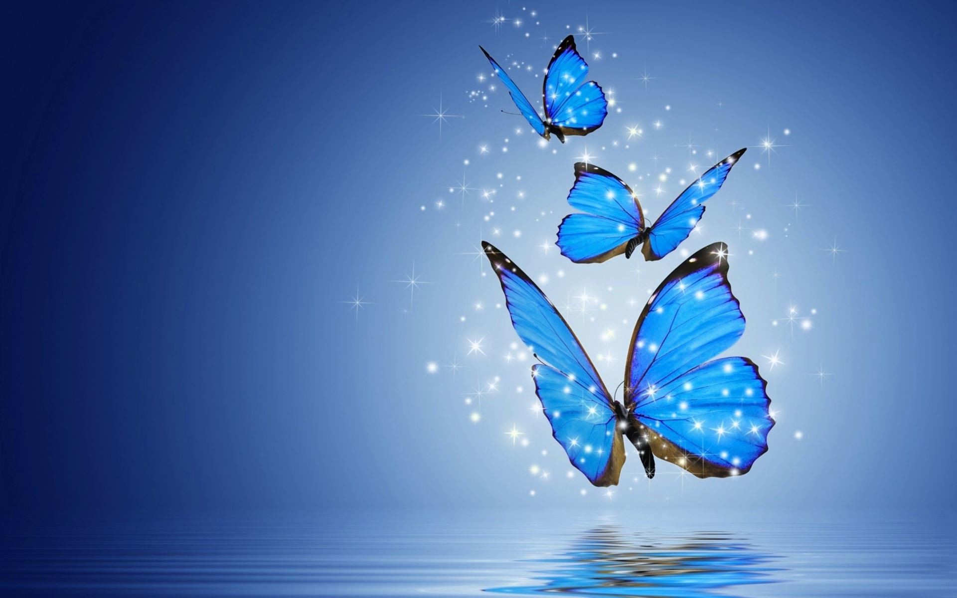 Butterfly Computer Wallpaper ·① WallpaperTag