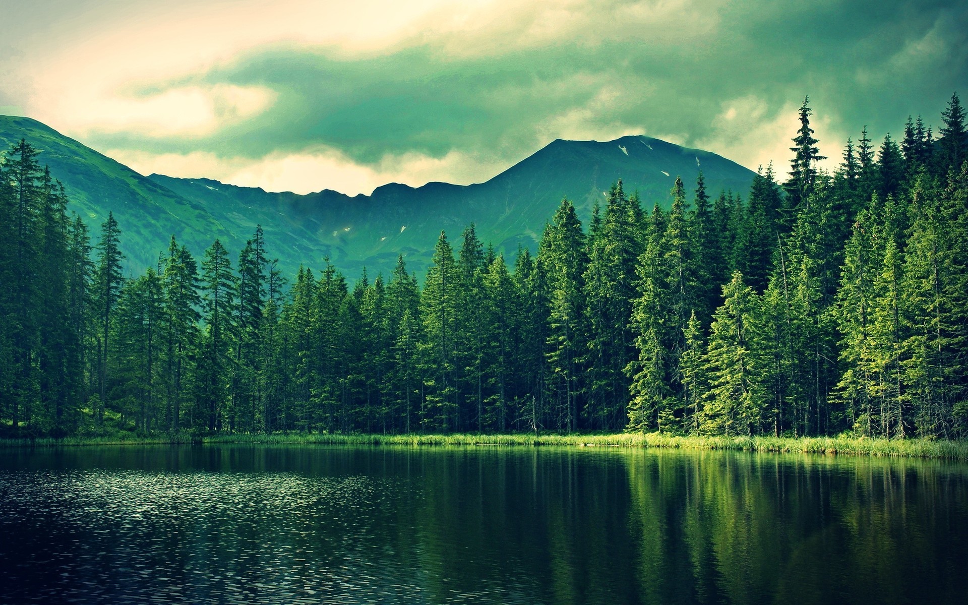 Beautiful Forest Wallpaper WallpaperTag Beautiful Forest Wallpaper WallpaperTag