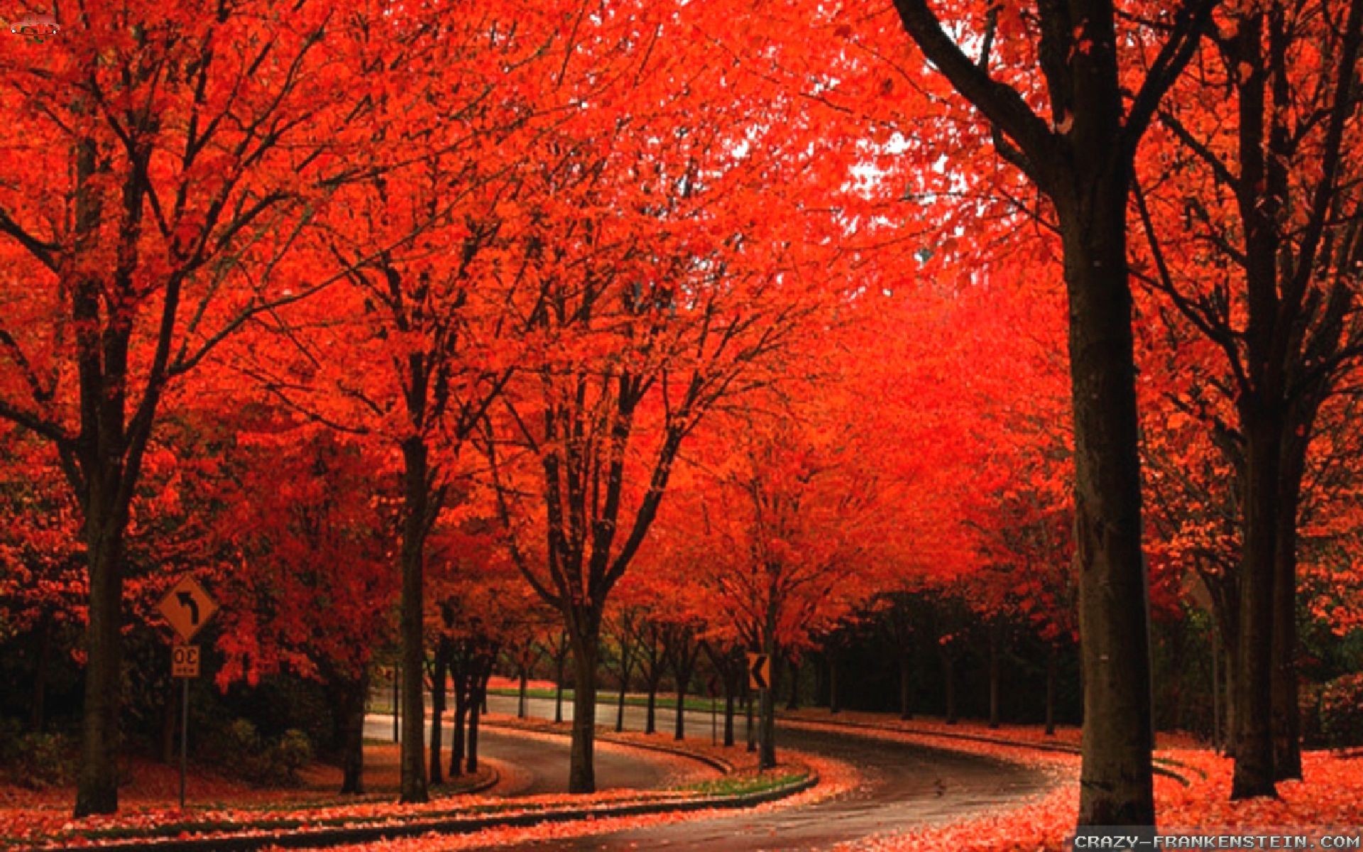 Autumn wallpaper Widescreen ·① Download free amazing High ...