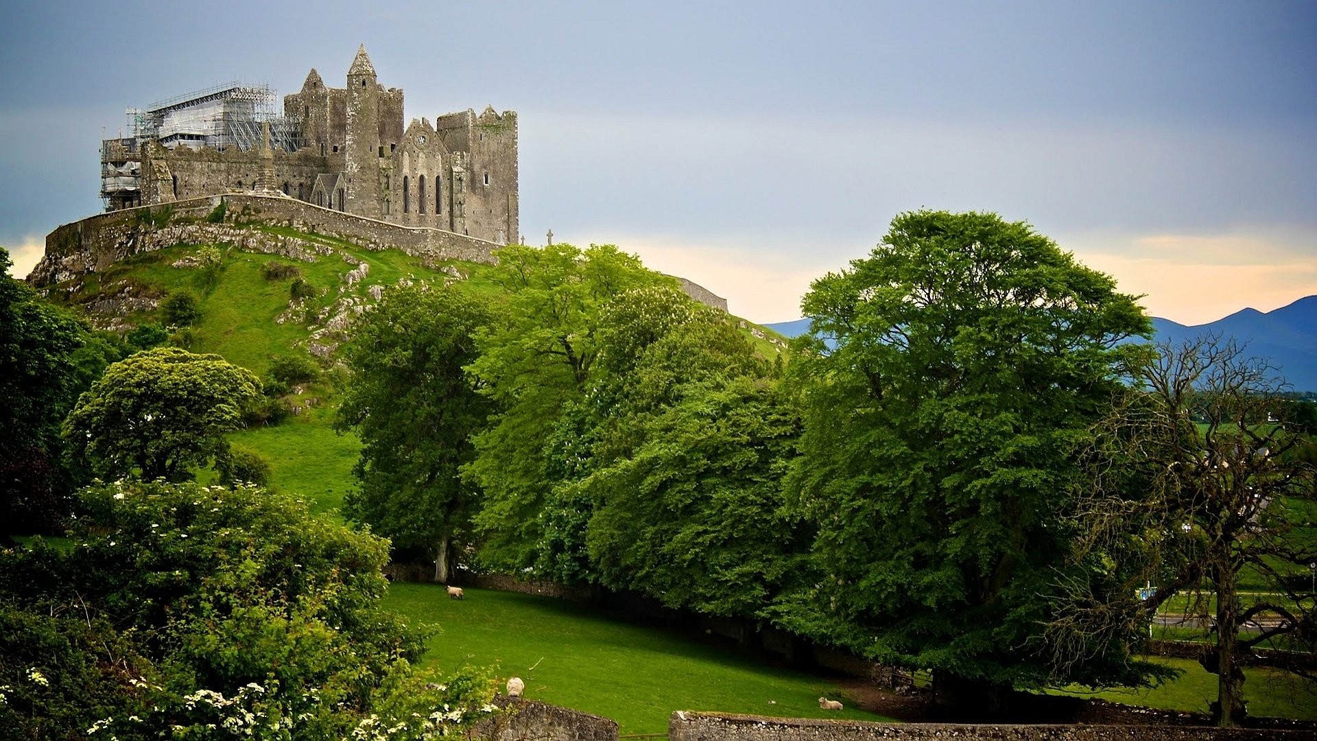 Rock of Cashel, Cashel, County Tipperary, Ireland, Medieval architecture, Green hillside, desktop wallpaper