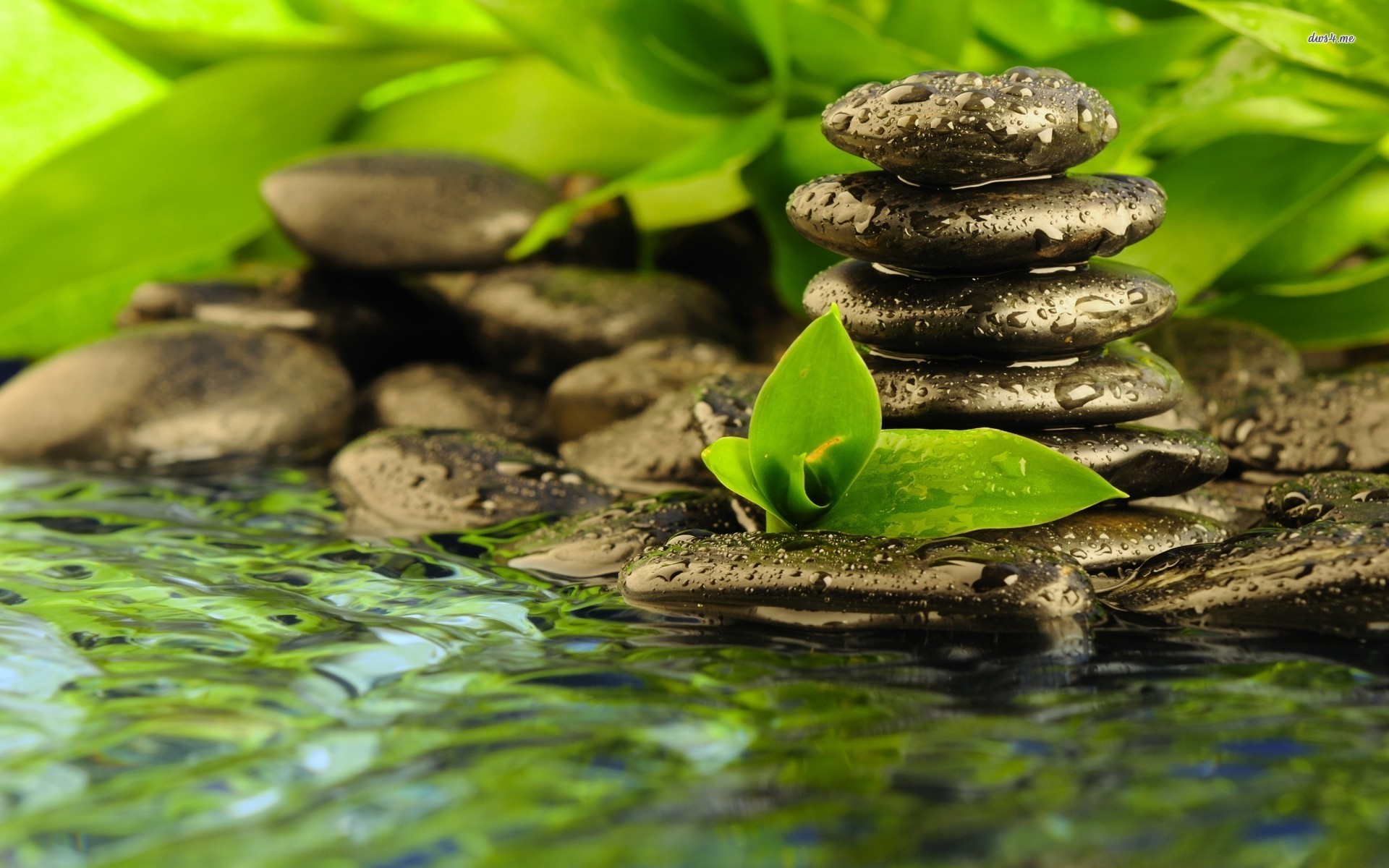  Zen  background    Download free stunning HD backgrounds  