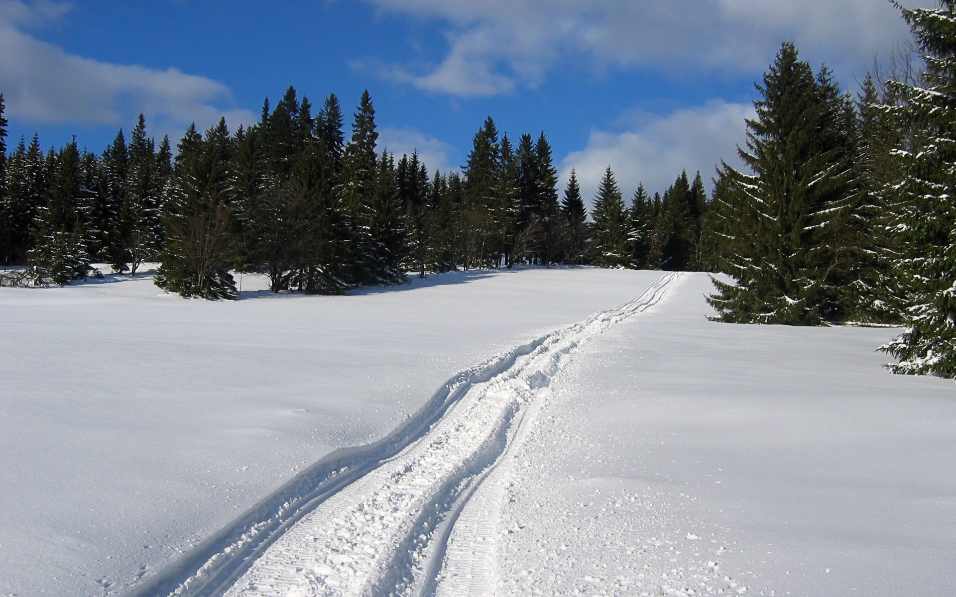 Snowfield, Ski track, Spruce forest, Blue sky, Winter, 16:10 Full HD, widescreen wallpaper