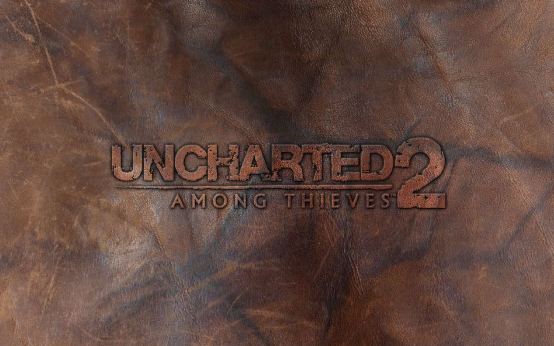 Uncharted 2 among thieves steam фото 119