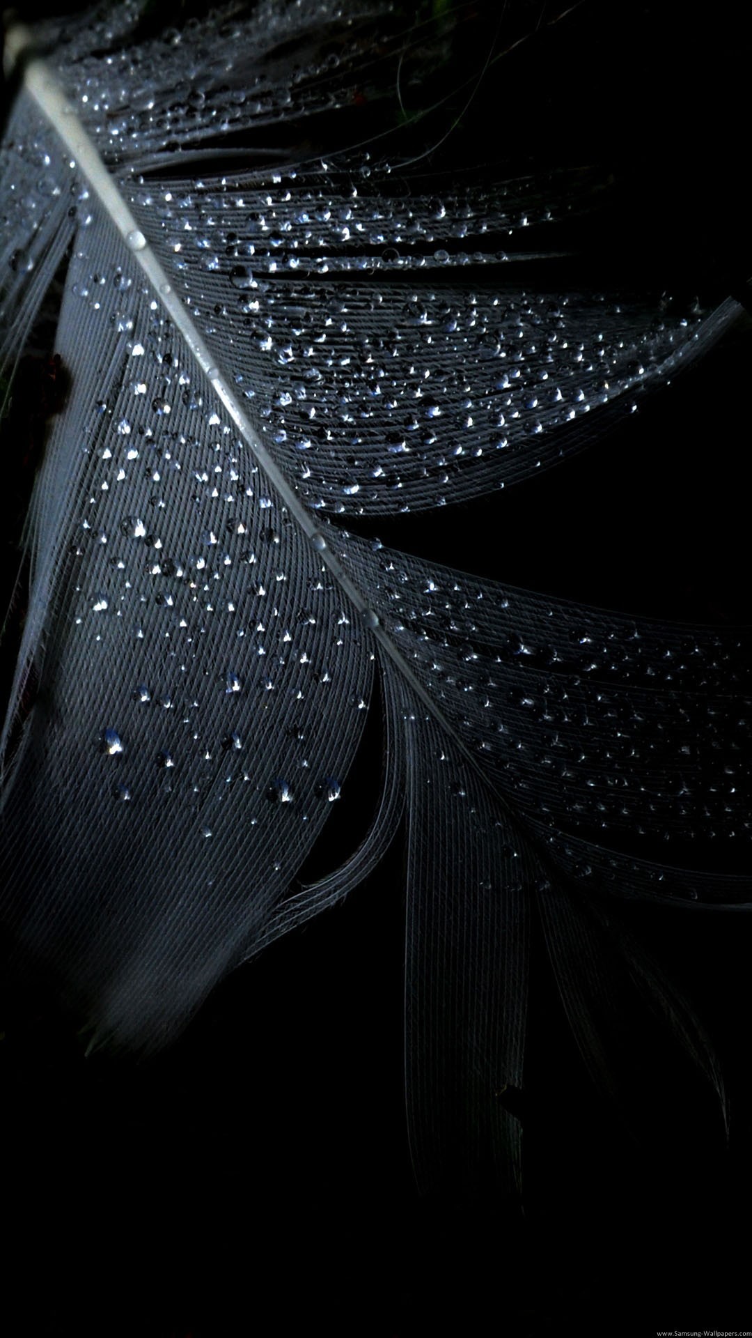 Pure Black wallpaper ·① Download free stunning HD wallpapers for