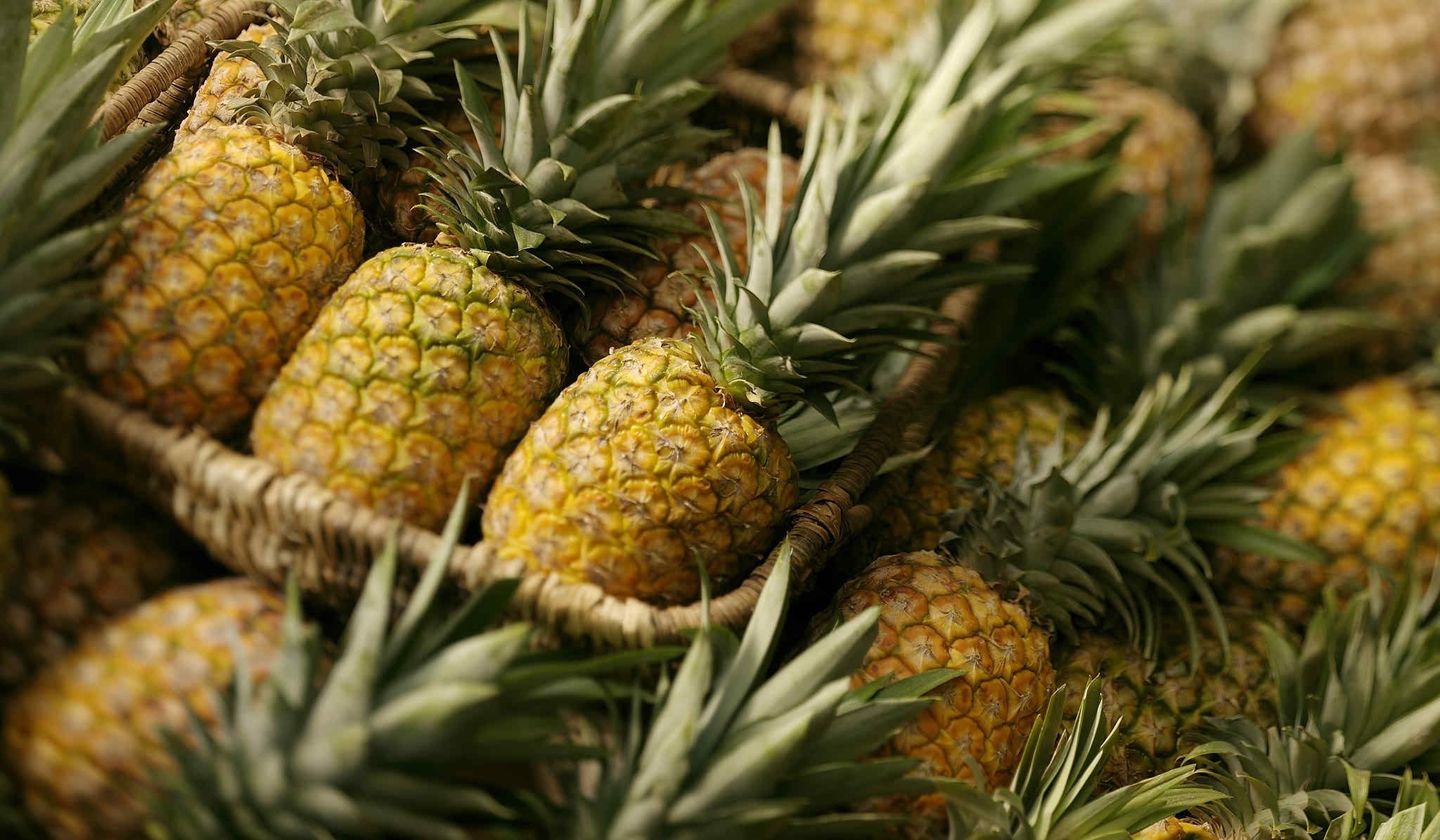 pineapples desktop wallpaper for mac