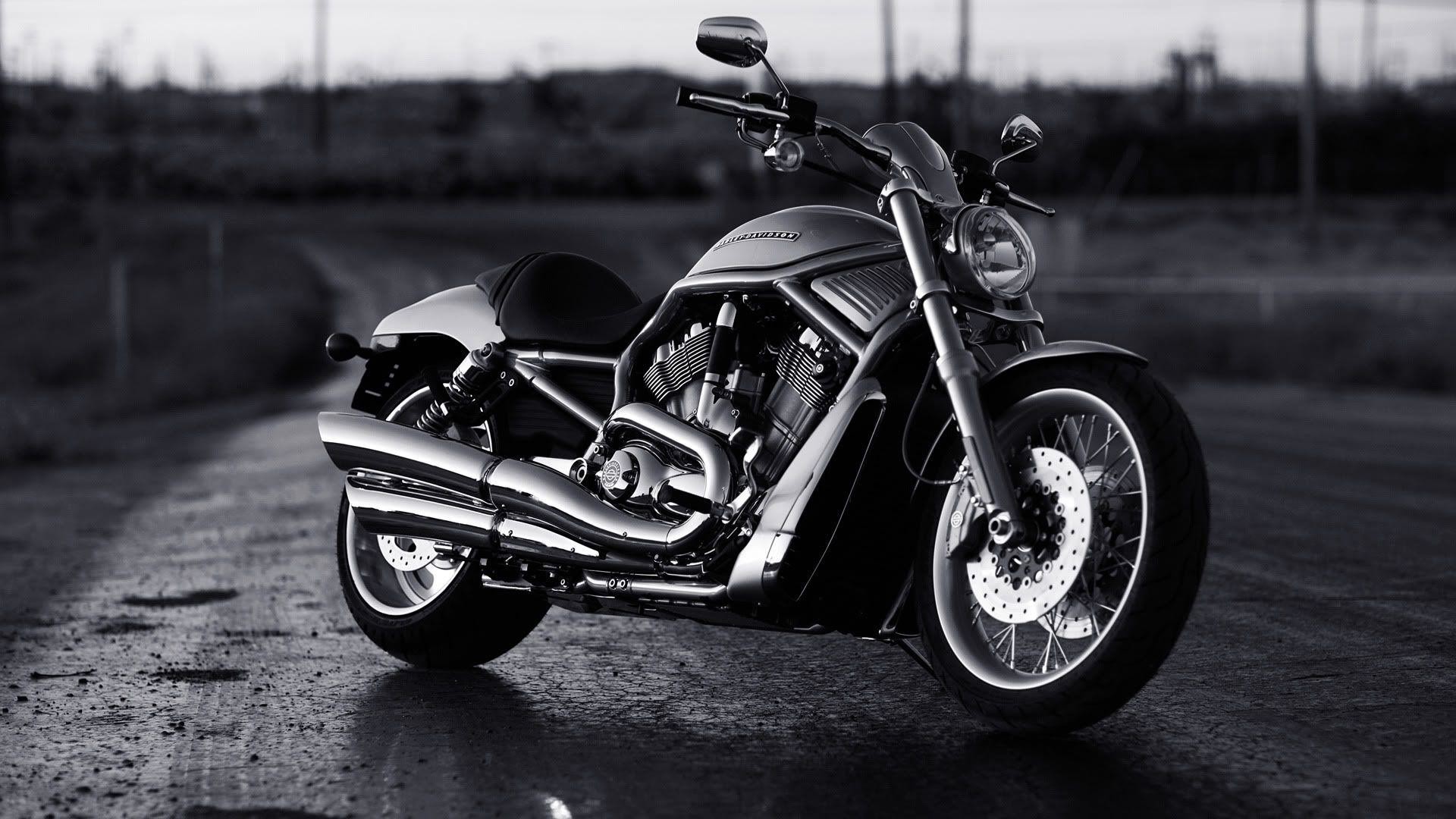 Harley Davidson Wallpaper ①