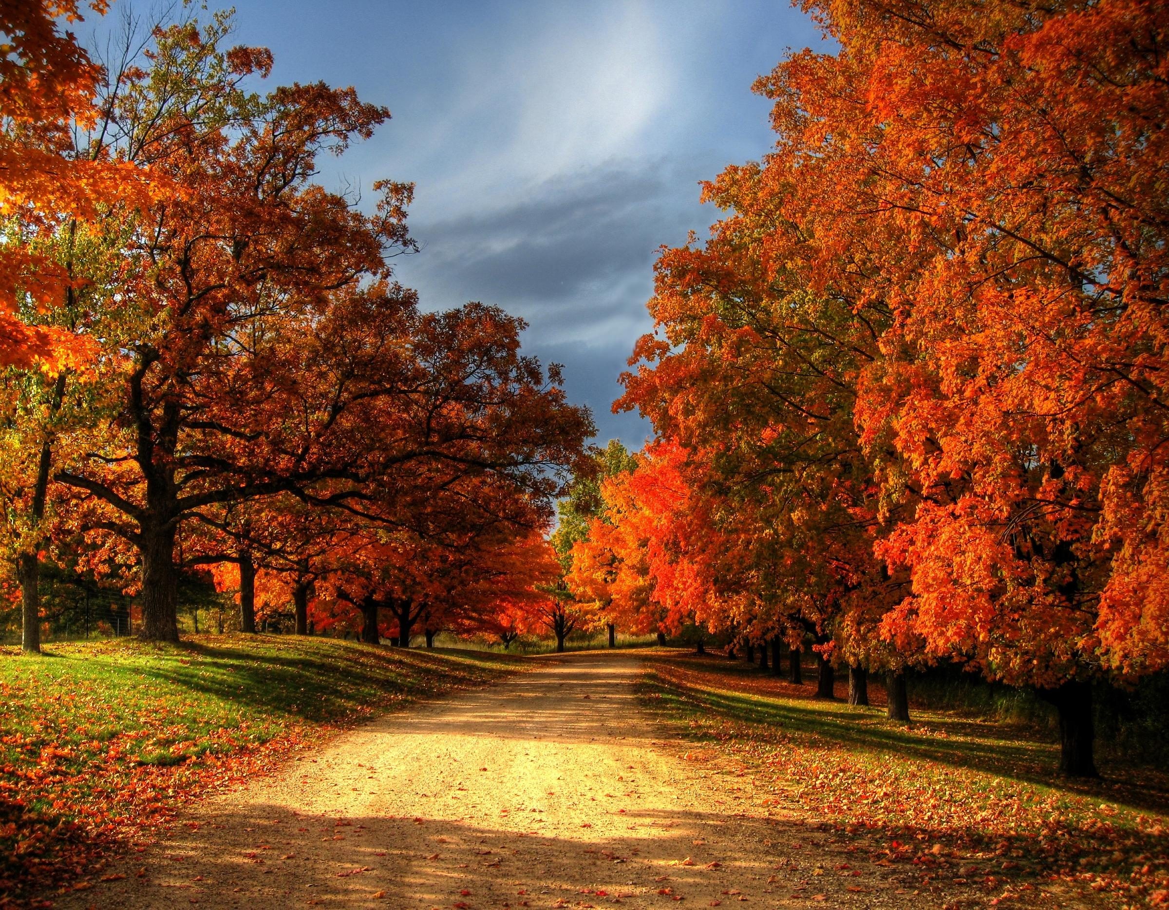 Fall Wallpaper Scenes Scenes Wallpaper Fall Autumn Desktop Wallpapers ...