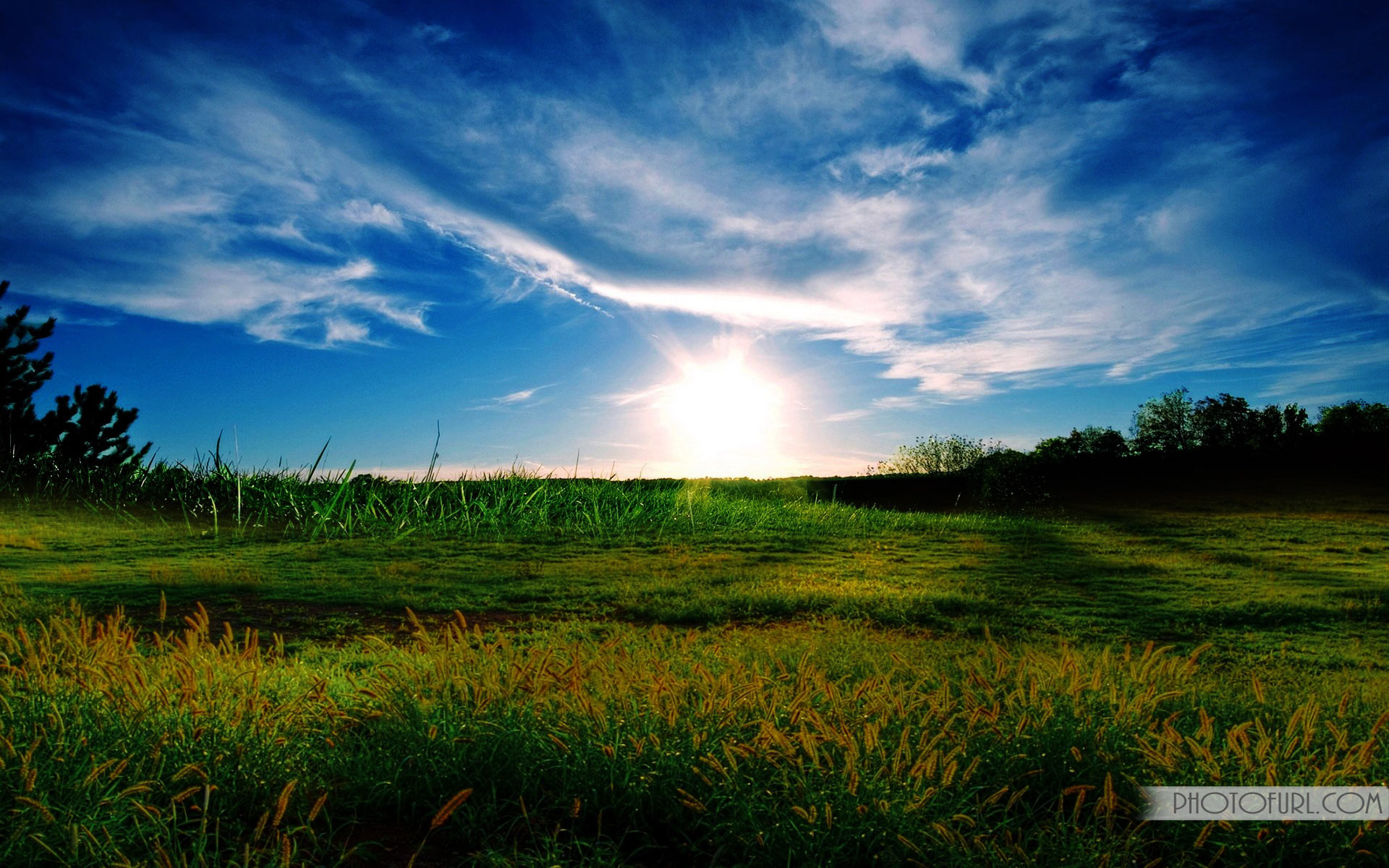 Windows xp Wallpaper HD \u00b7\u2460