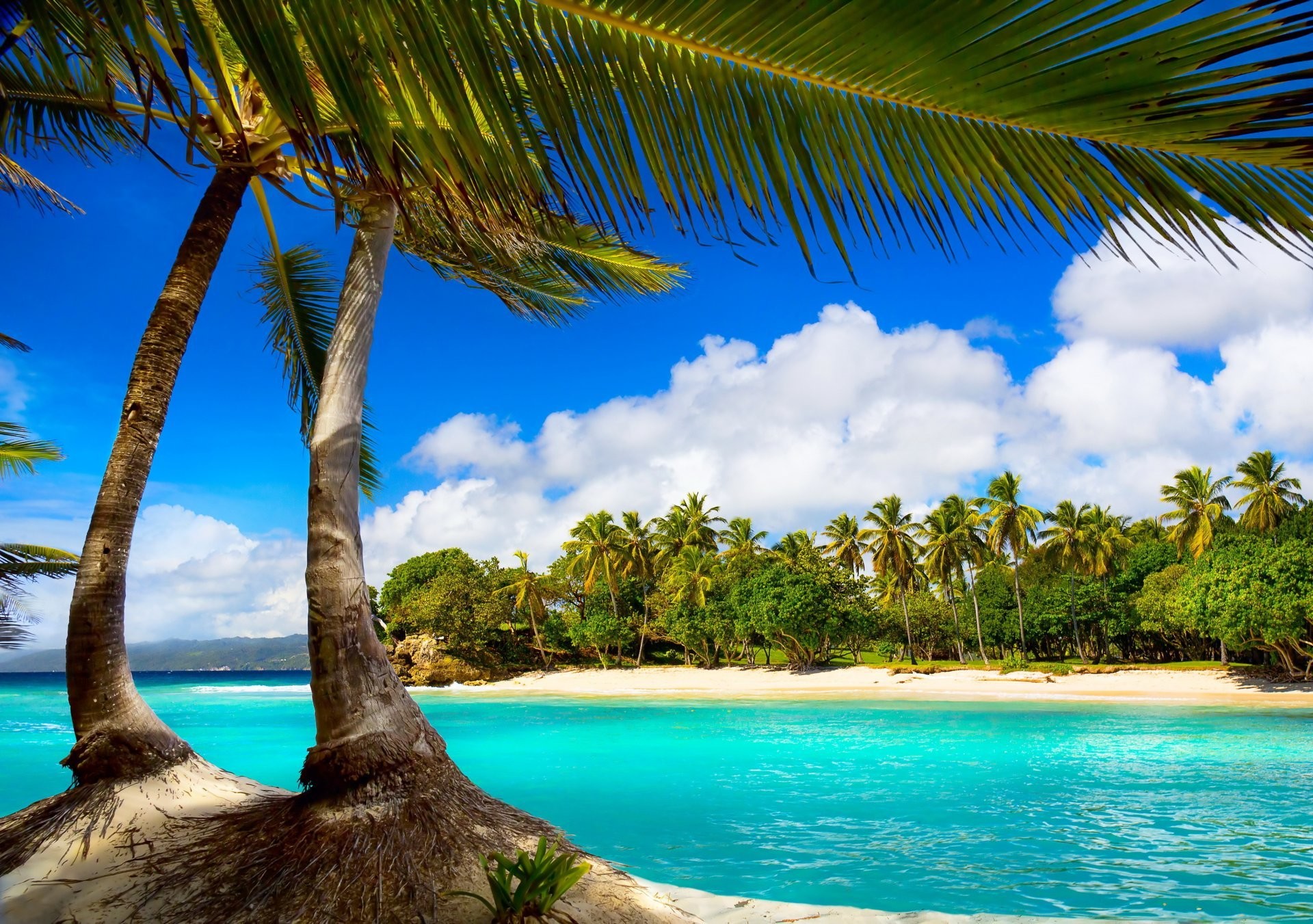 Paradise Beach Wallpaper WallpaperTag