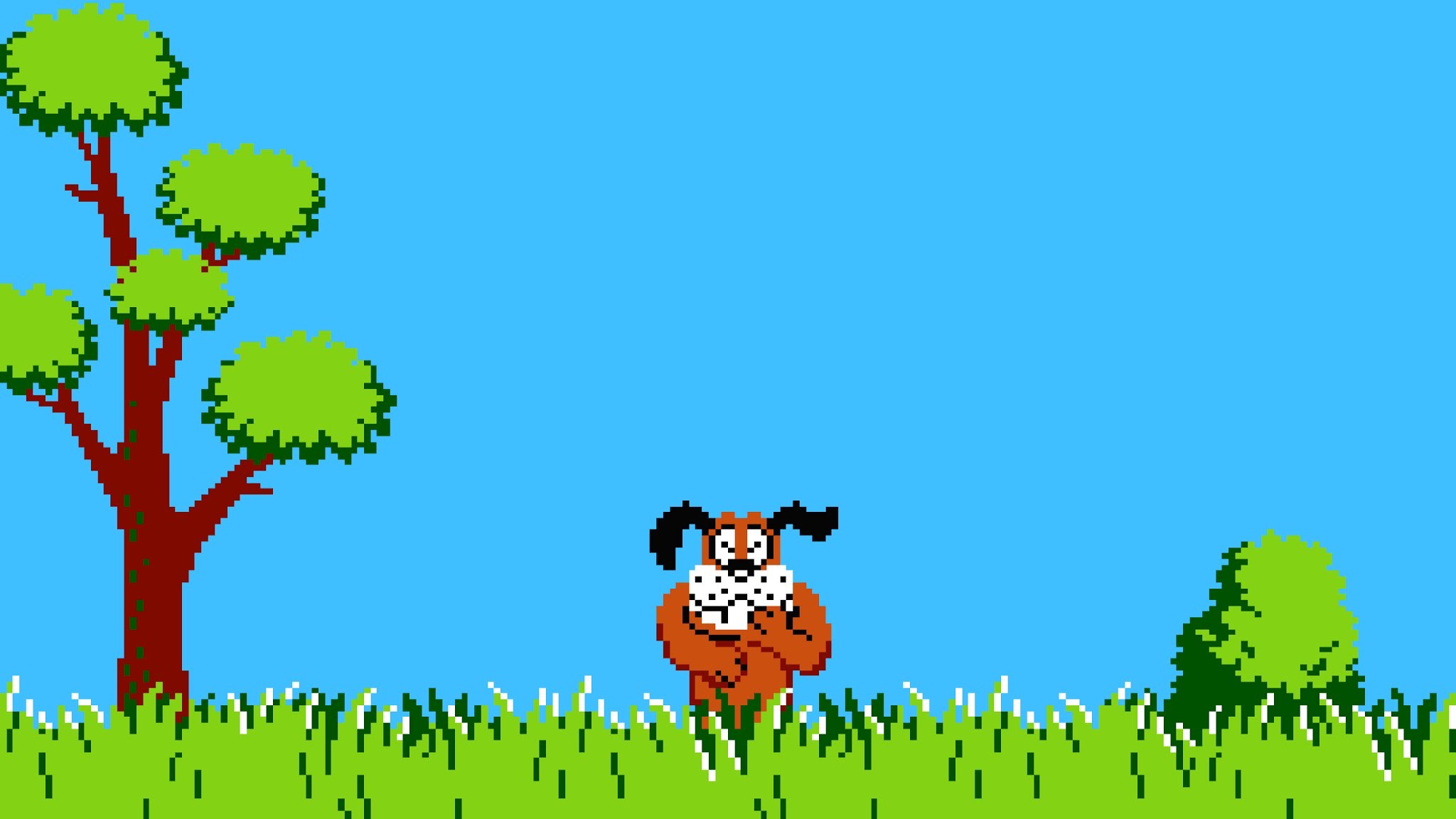 Duck Hunting Backgrounds ·① WallpaperTag