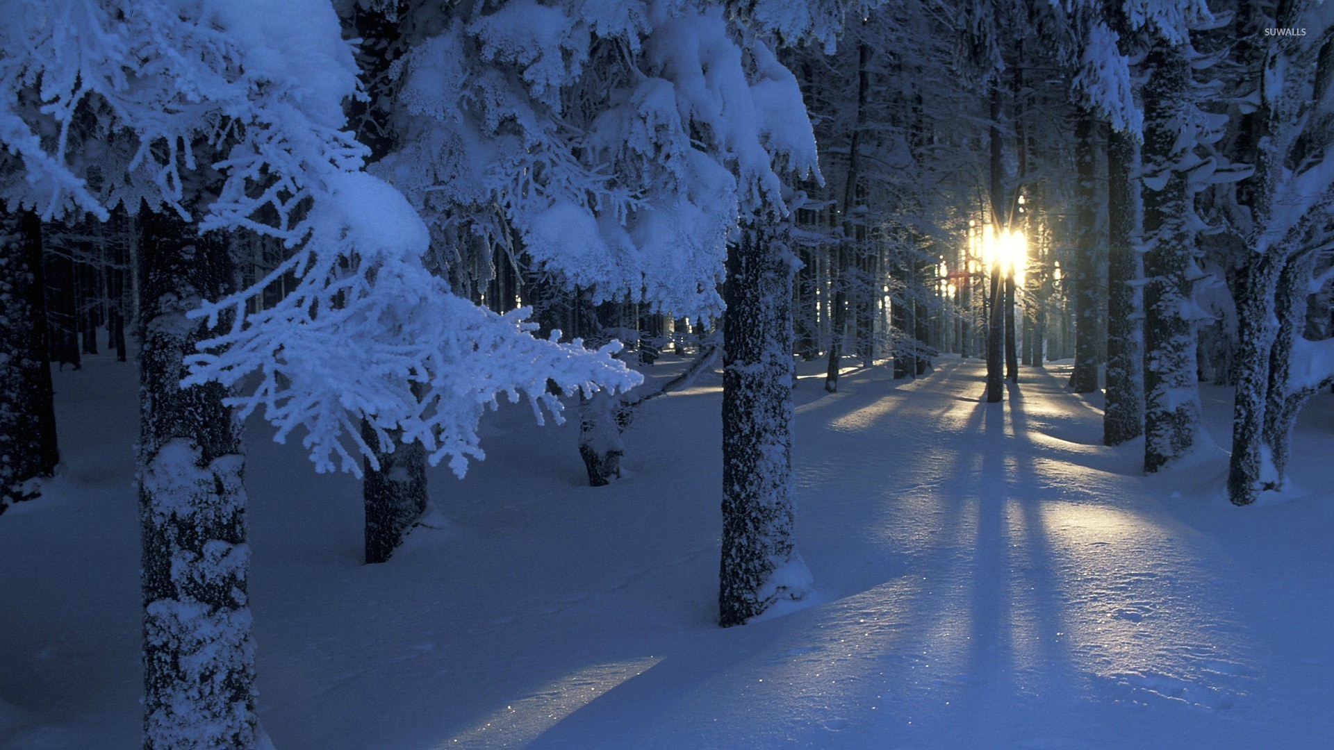 Winter Wallpaper 1920x1080 ① Download Free Amazing High Resolution