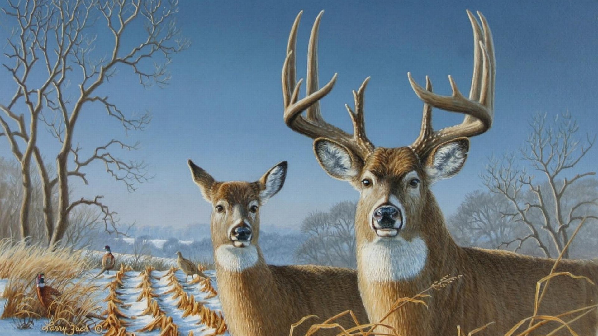 Deer Hunting Backgrounds WallpaperTag Deer Hunting Backgrounds WallpaperTag