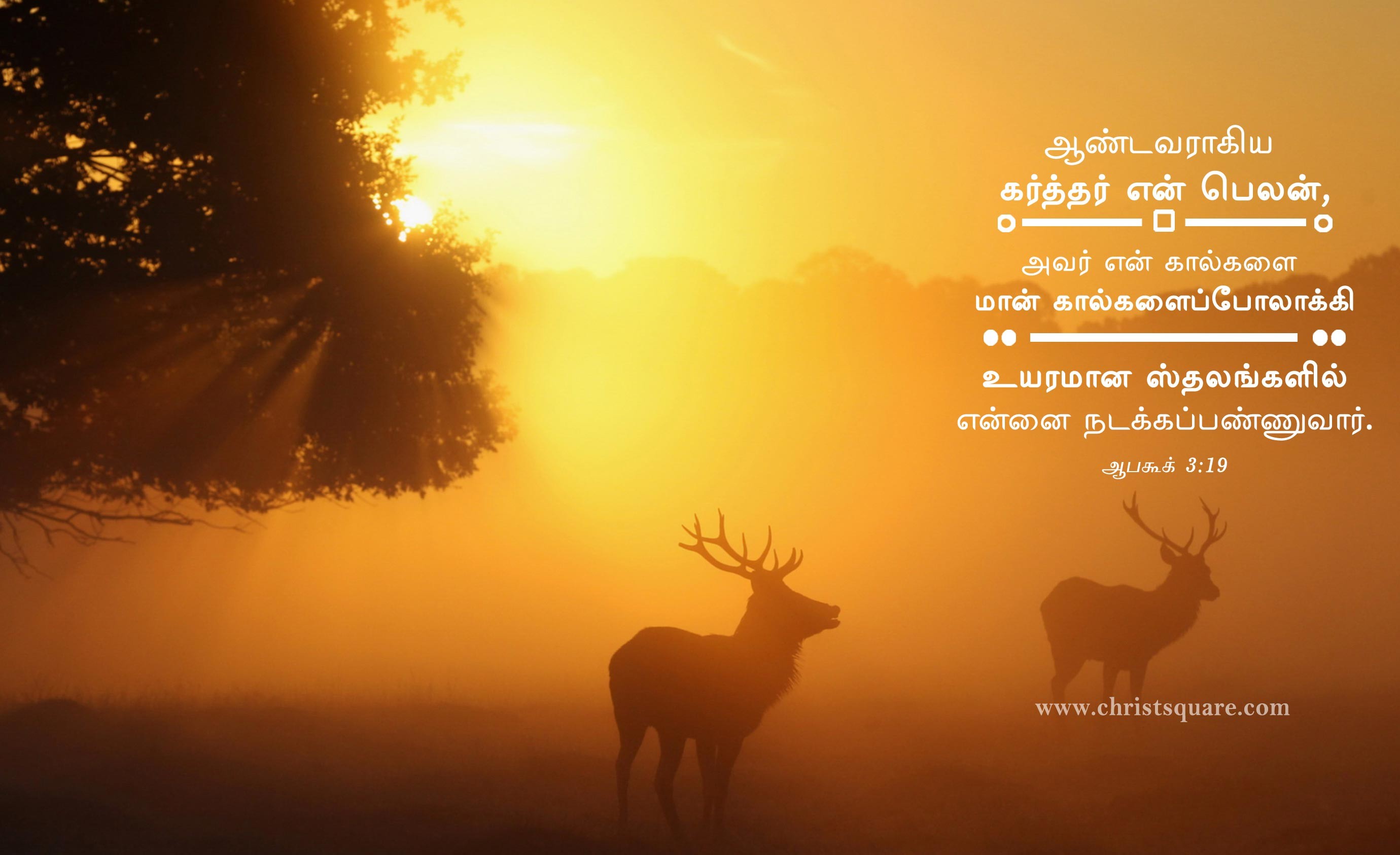 Tamil bible quotes wallpaper - rvlito