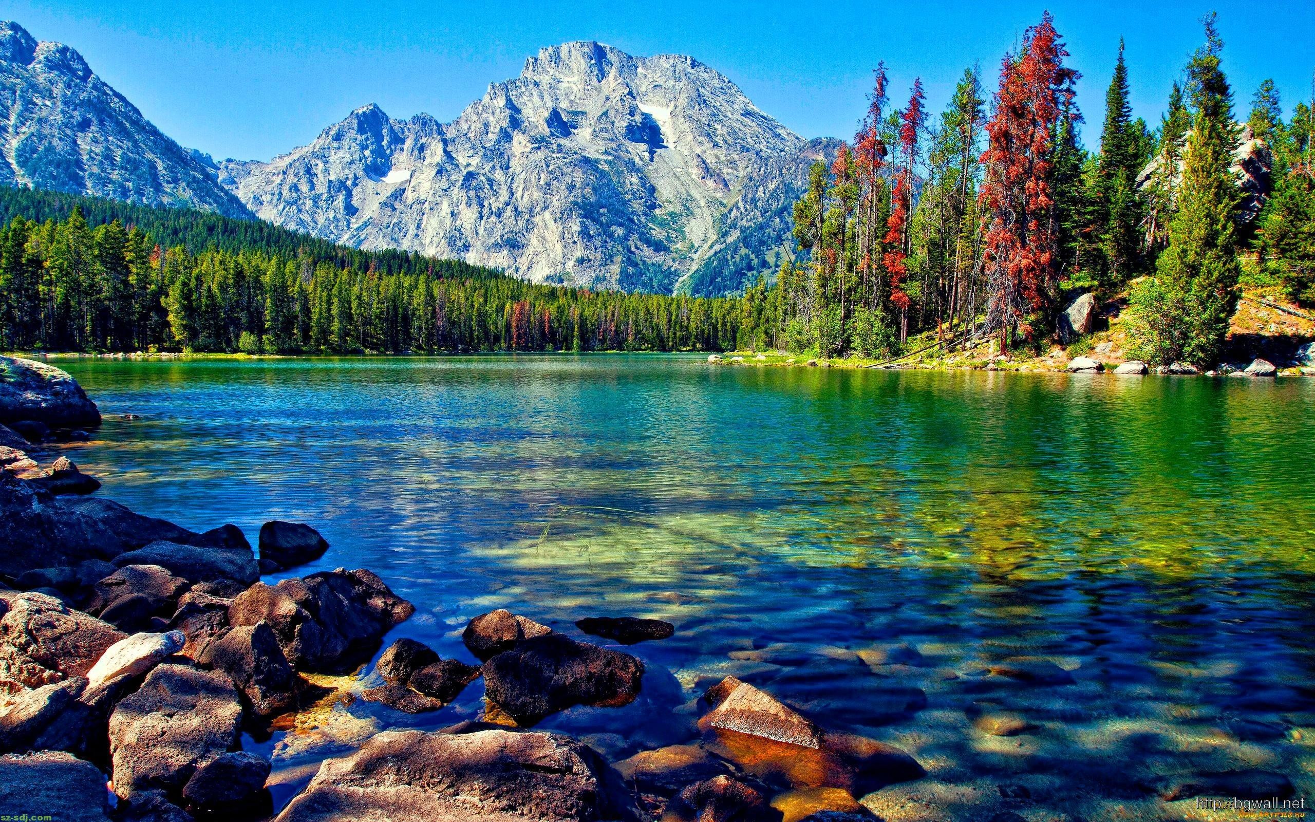 Best HD Nature Wallpapers Mitarashidanngo Best HD Nature Wallpapers Mitarashidanngo