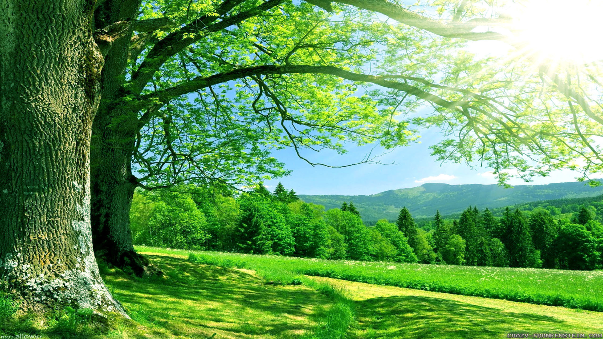 Summer Nature Wallpaper ·① WallpaperTag