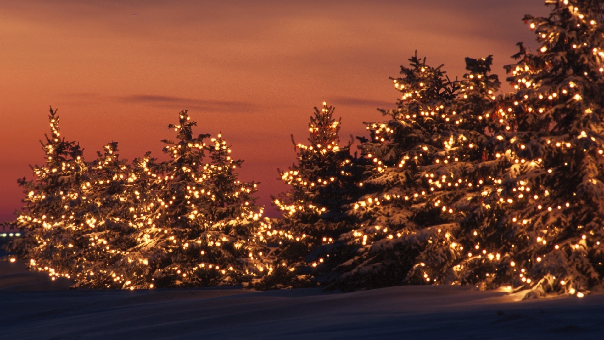 Christmas Trees HD Wallpapers 3D s puter Desktop Download