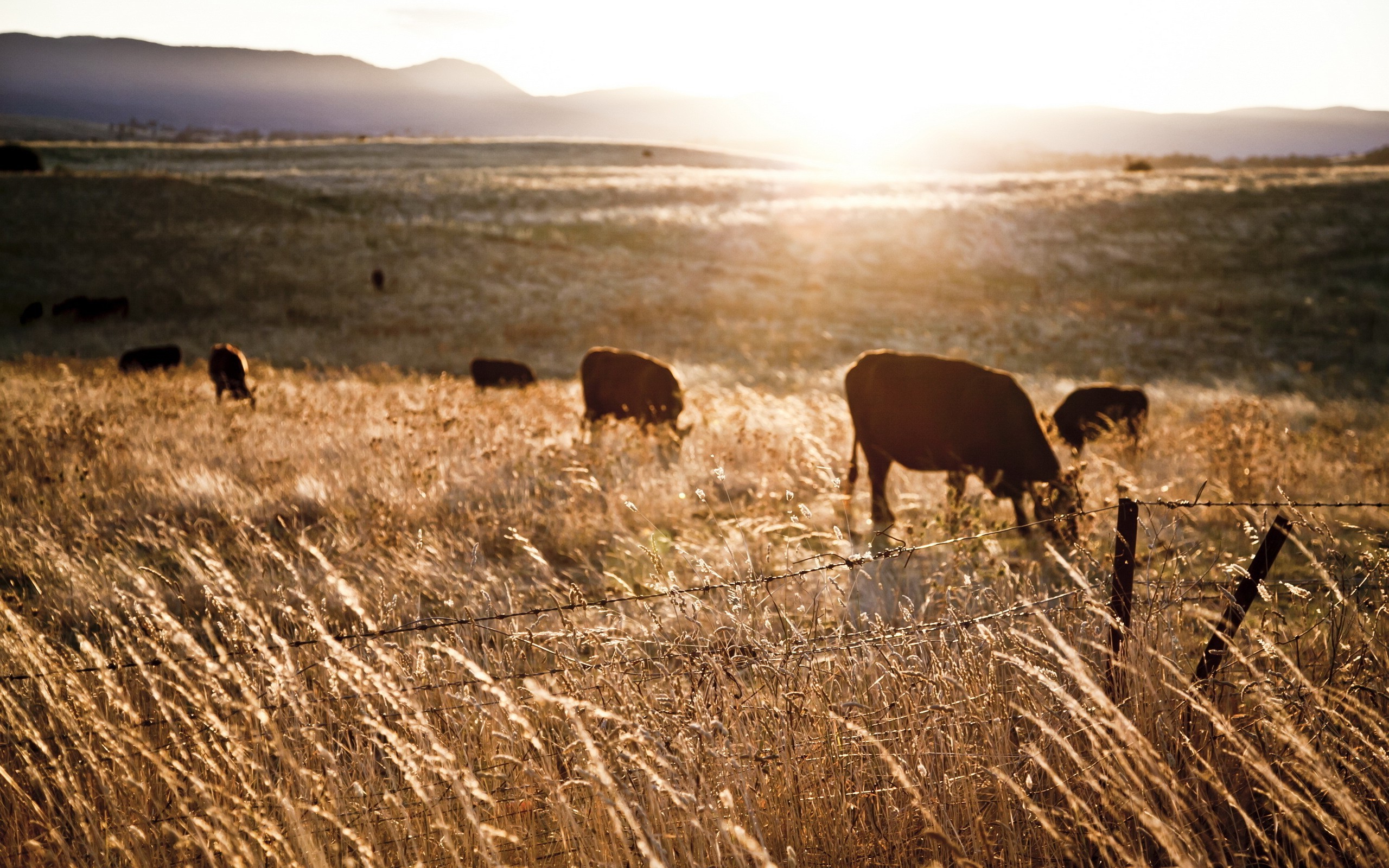 Farm Background Pictures ·① WallpaperTag