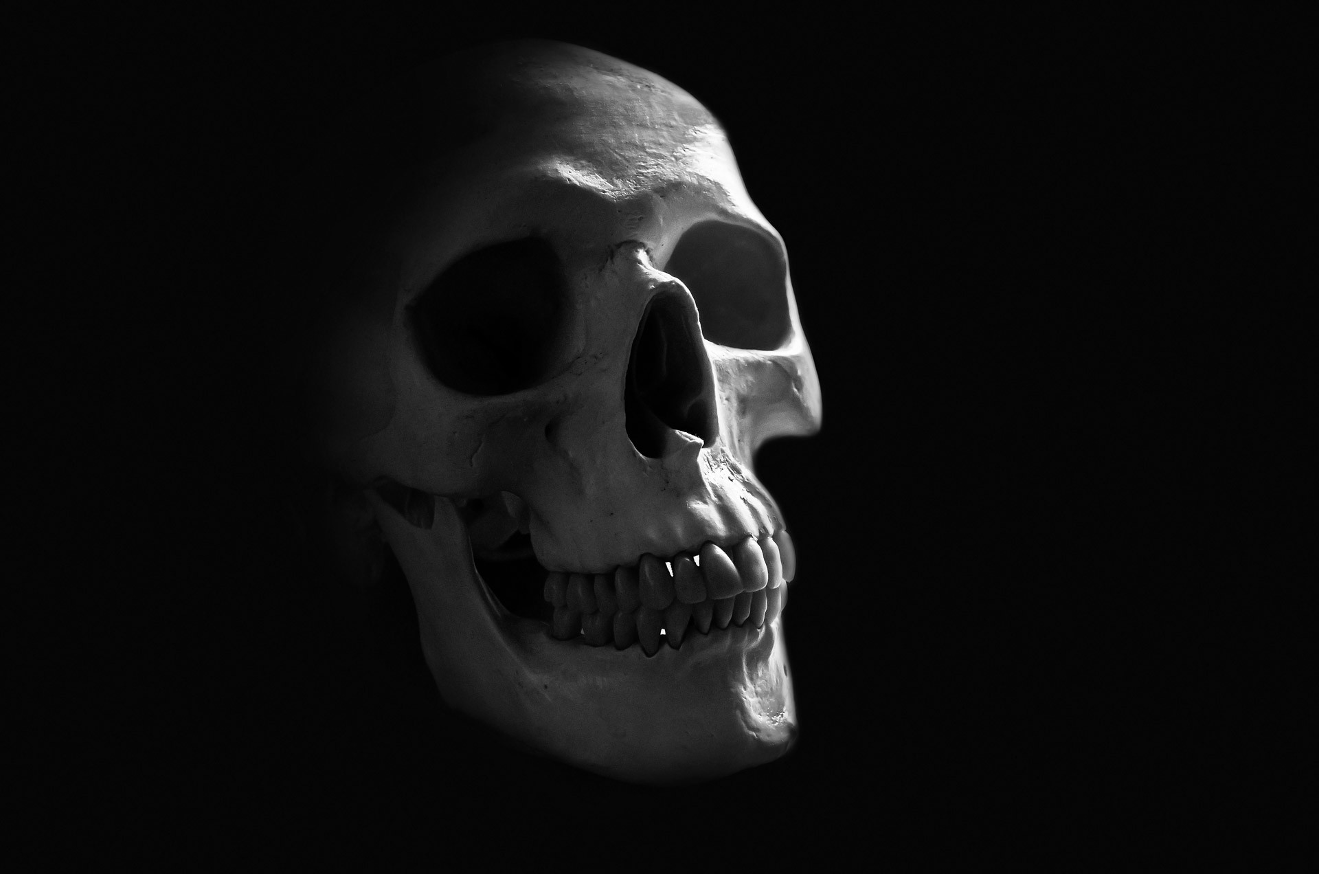 Skull Black Background ·① WallpaperTag