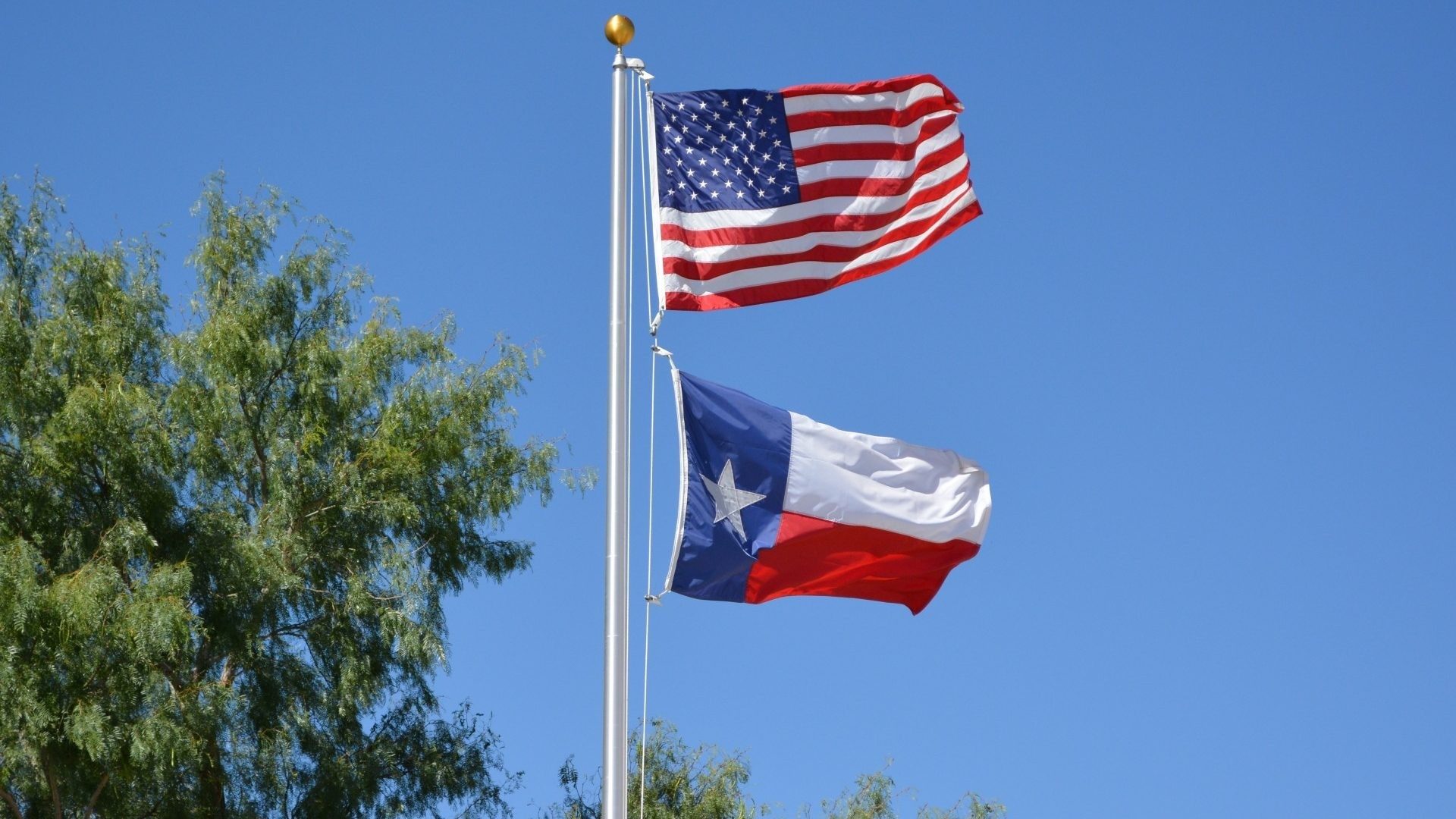 Texas Flag wallpaper.
