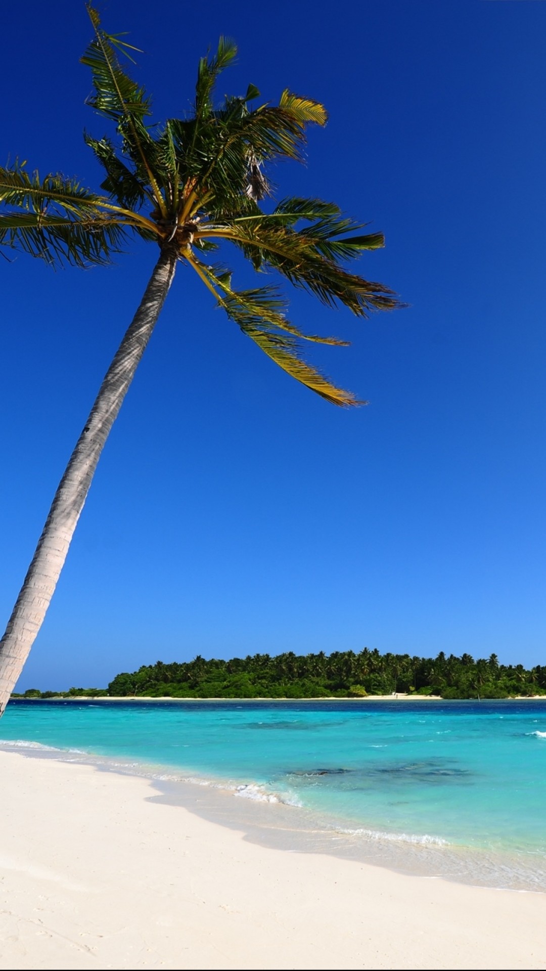 Palm tree, White sand, Island, Vertical, Full HD, mobile background