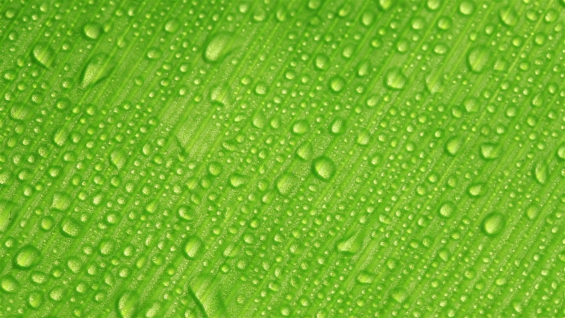 Water Drop Background ·① WallpaperTag