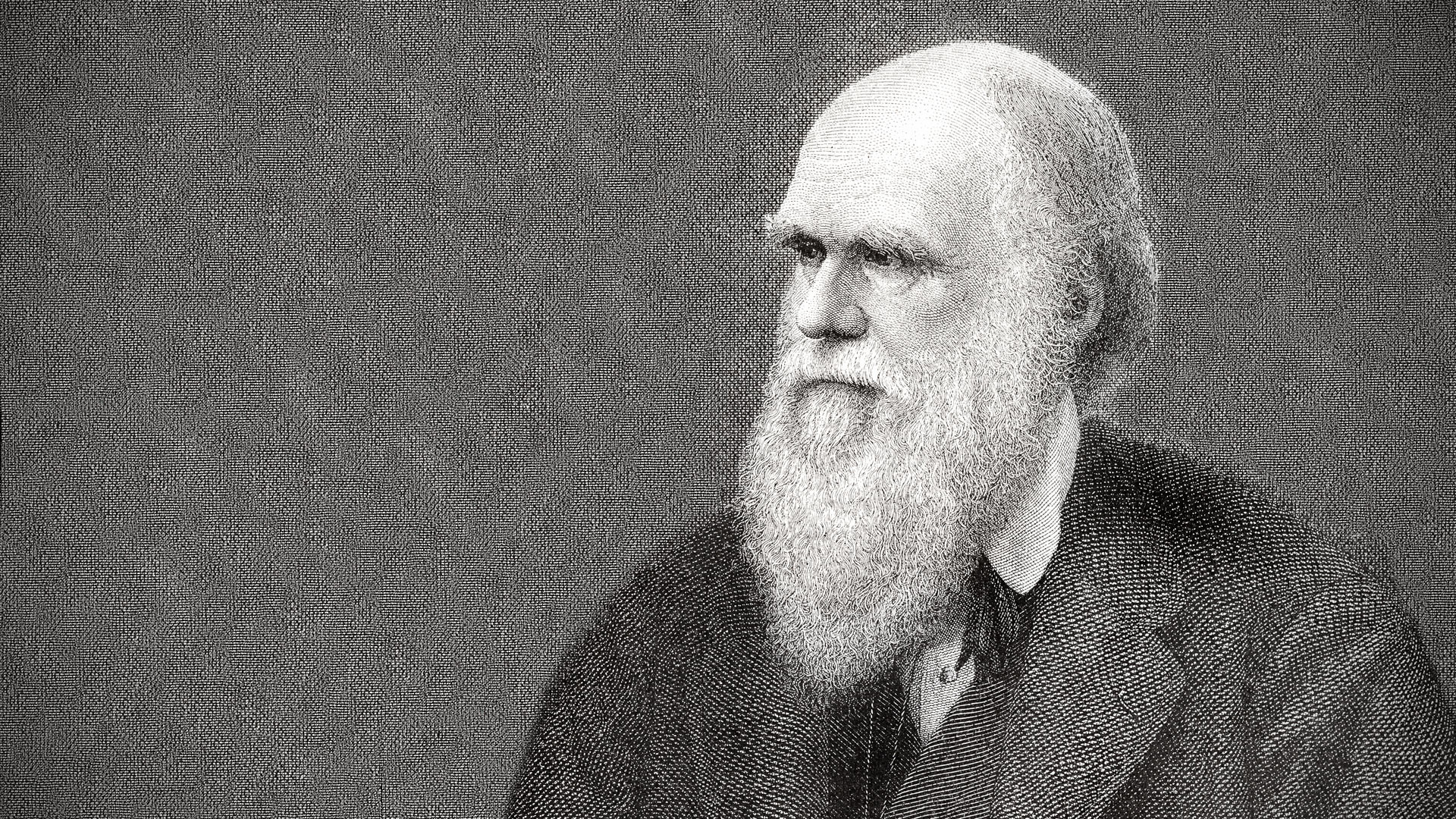 Charles Darwin Wallpapers ·① WallpaperTag