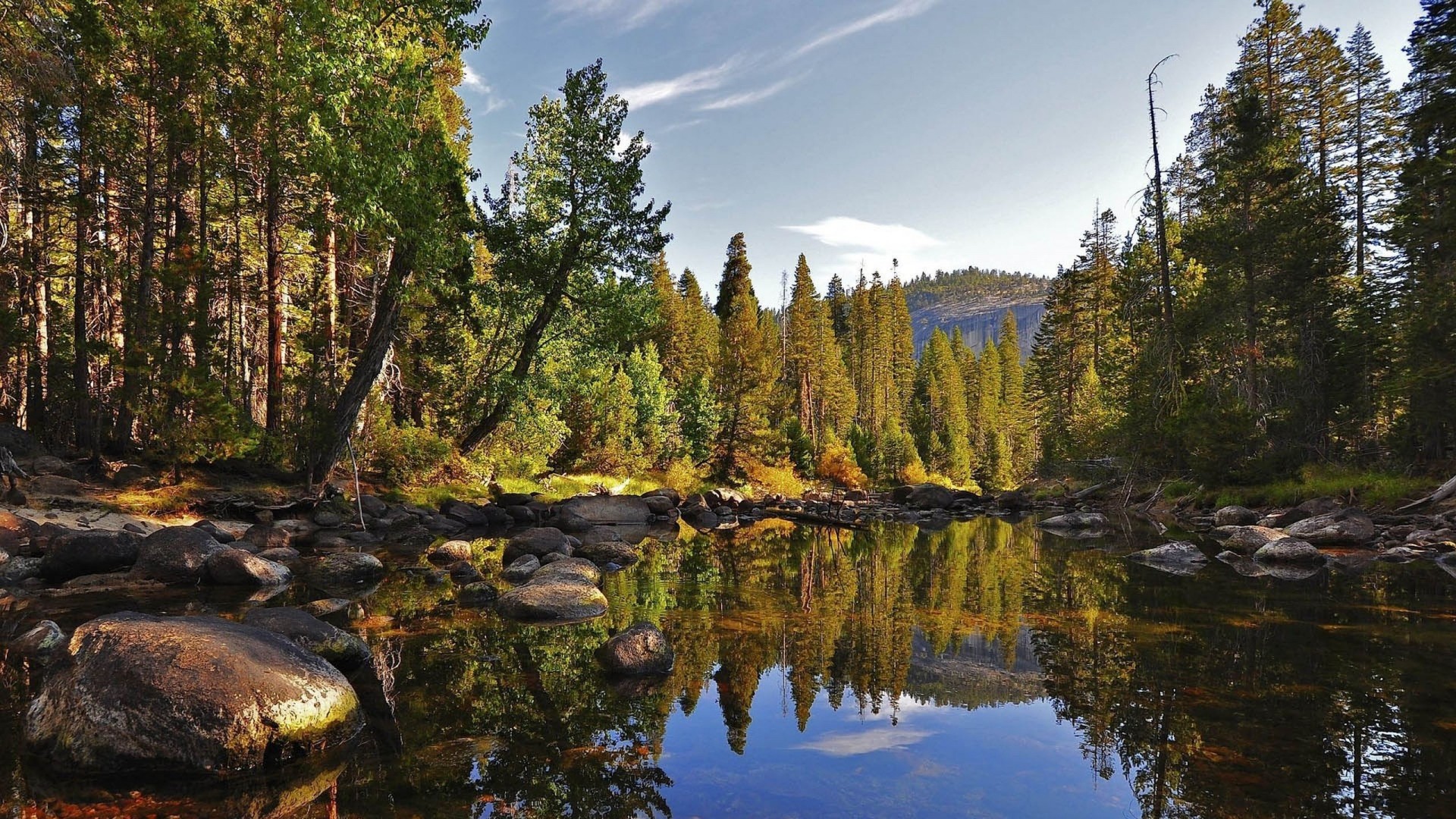 Forest lake, Pine forest, Riverbank, Mountains, Summer landscape, Windows 11 wallpaper