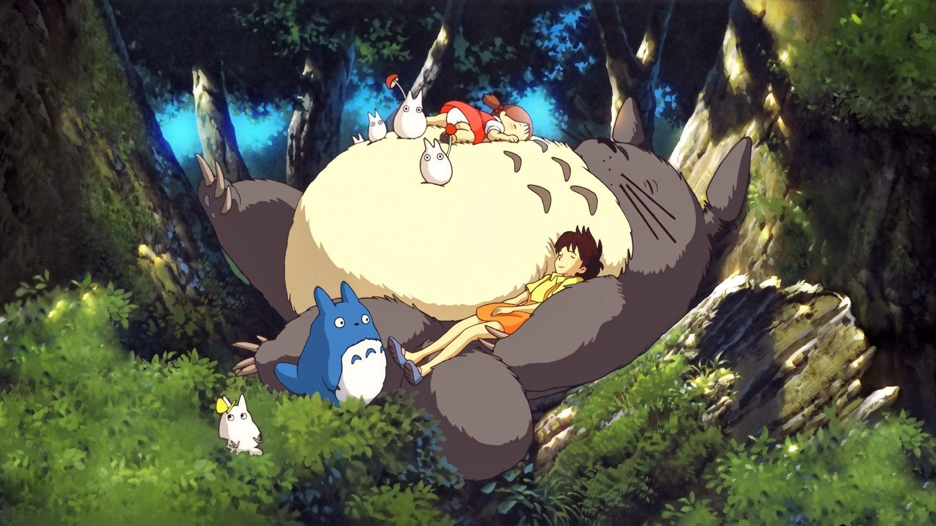 My Neighbor Totoro Wallpaper ① Download Free Beautiful High