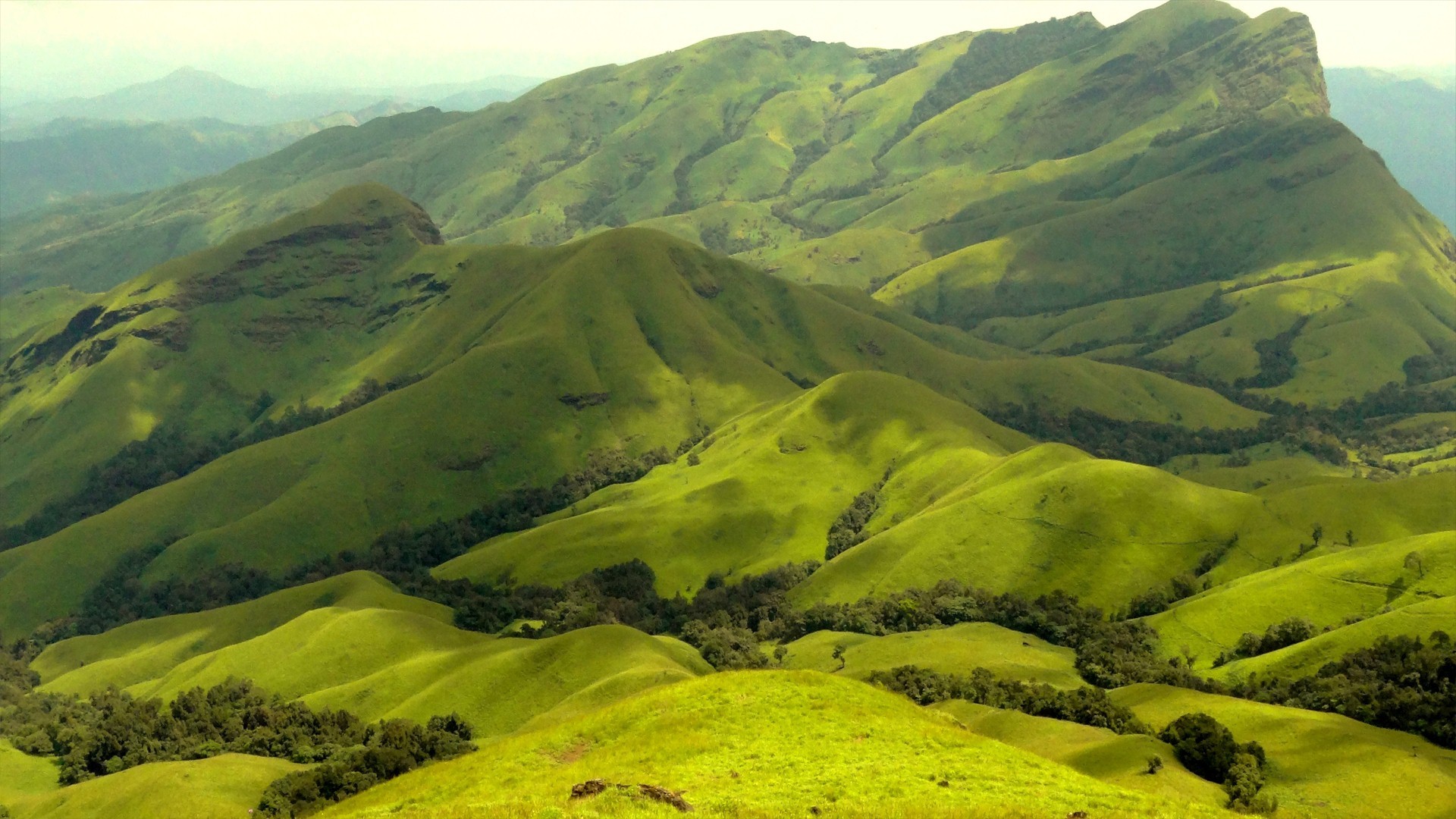 Горные холмы. Покрытые зеленью горы. Зеленые горы. Горы зелень. Индия природа.