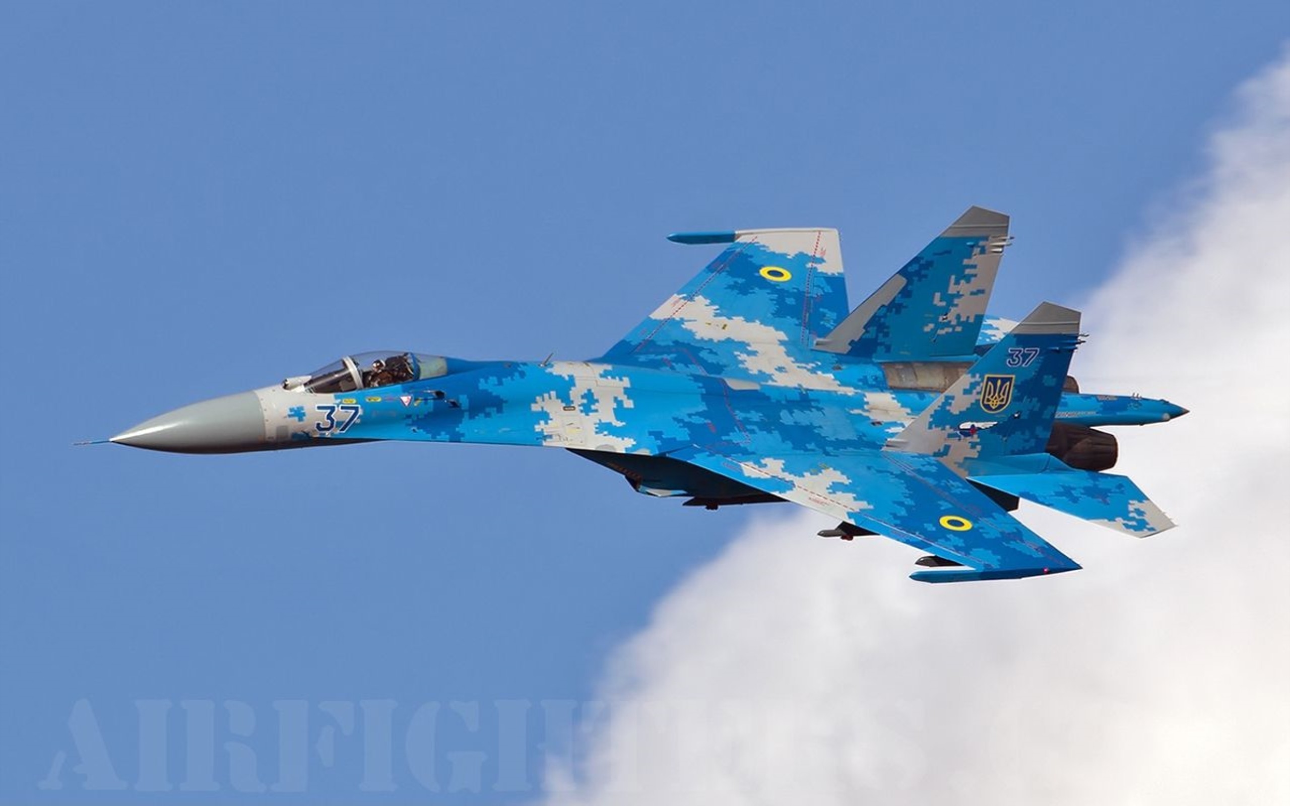 Ввс украины. Украинский истребитель Су-27. Су-27 ВВС. Су27 самолет Украина.