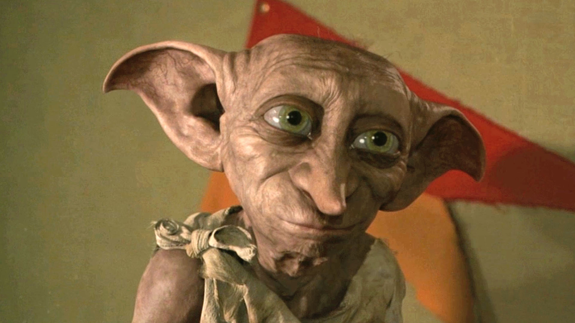 dobby set free