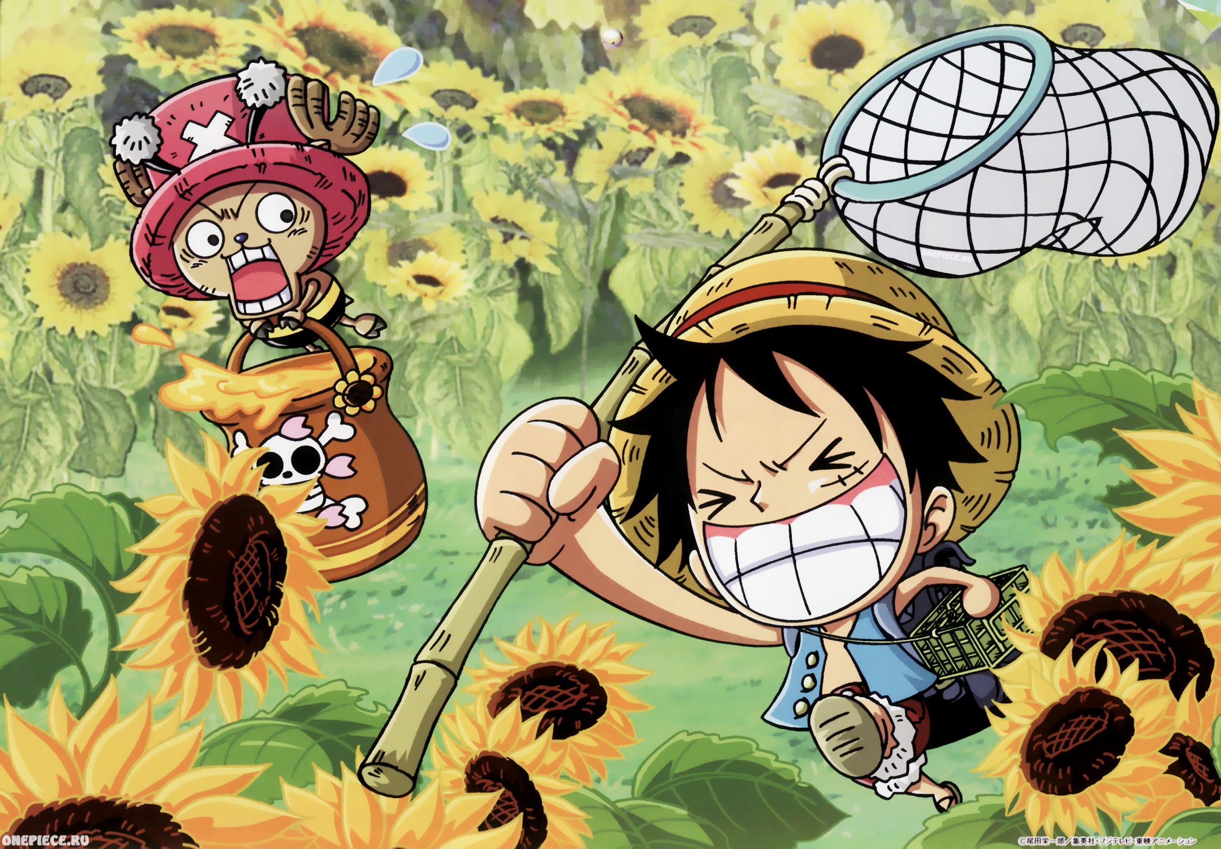 One Piece wallpaper HD ·① Download free stunning High ...