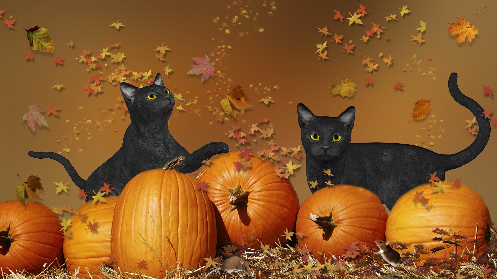 Cute Halloween wallpaper ·① Download free beautiful HD