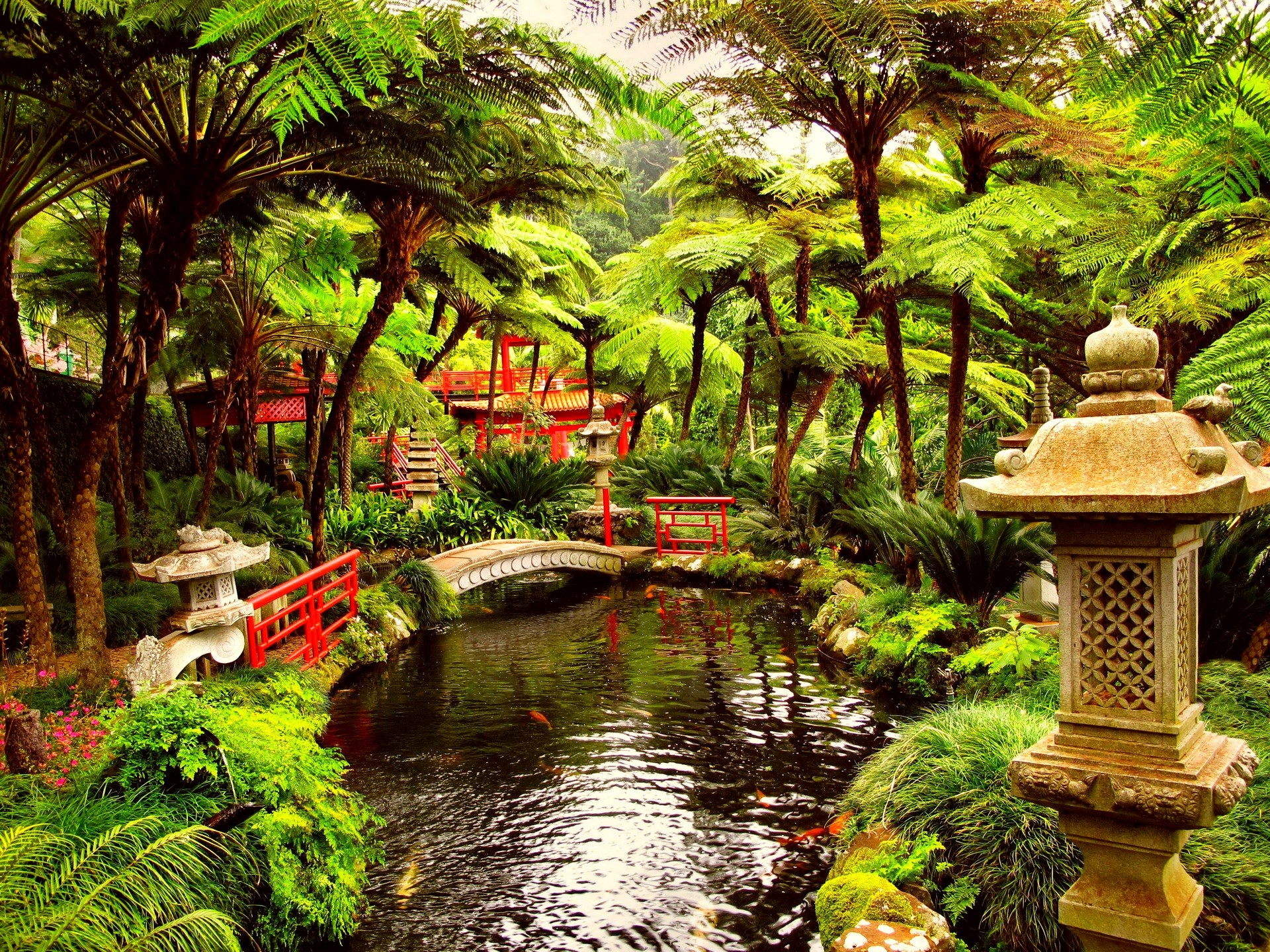 Beautiful Botanical Garden View Wallpaper ...