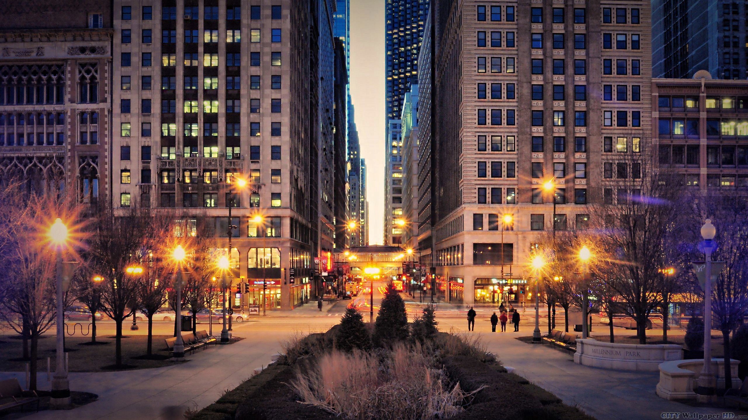 Обои на стол на улице. Центр парк Нью-Йорк. Чикаго (Иллинойс). Чикаго Иллинойс зима ночь. Золотой берег Чикаго.