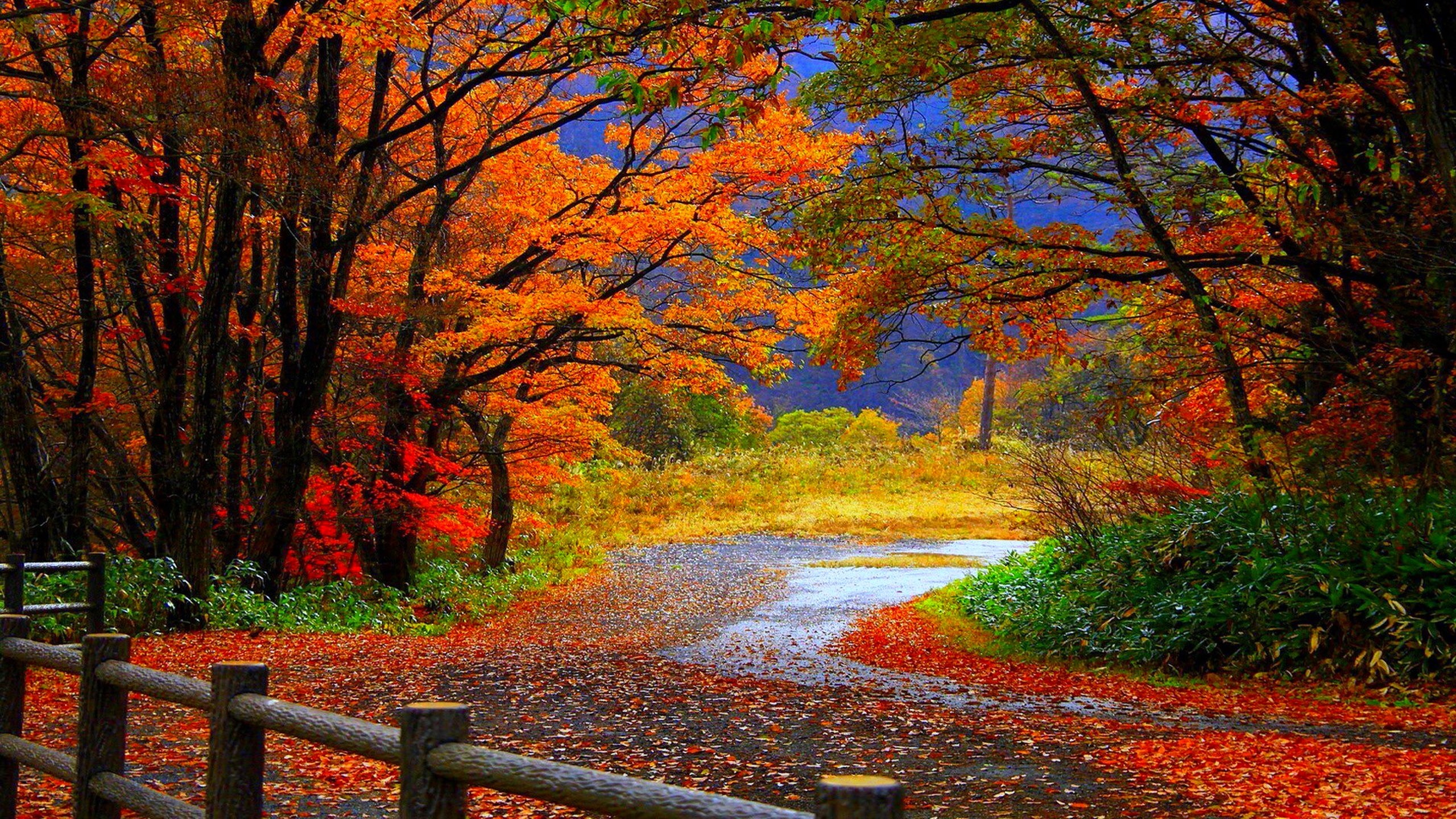  Autumn  wallpaper  Widescreen   Download free amazing High 