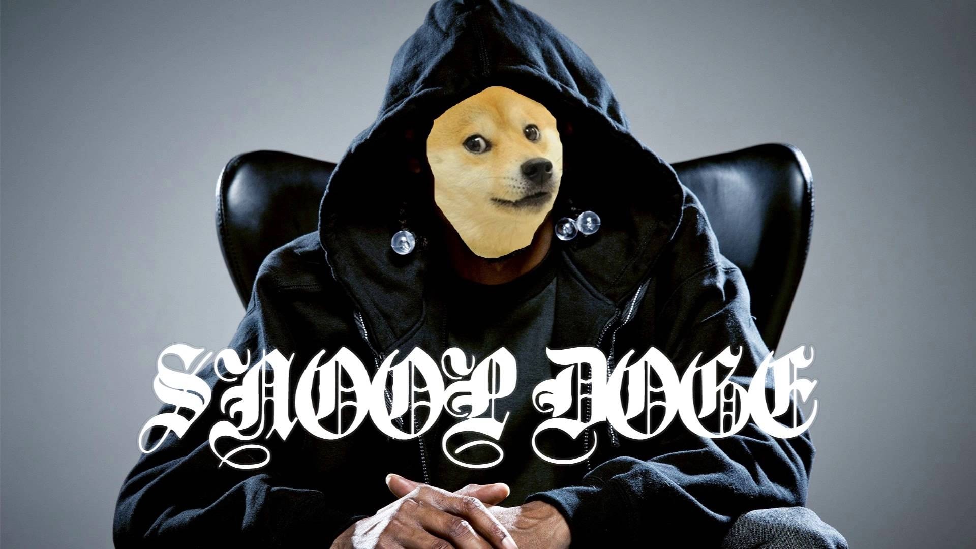 Doge background ·① Download free cool wallpapers for desktop and mobile