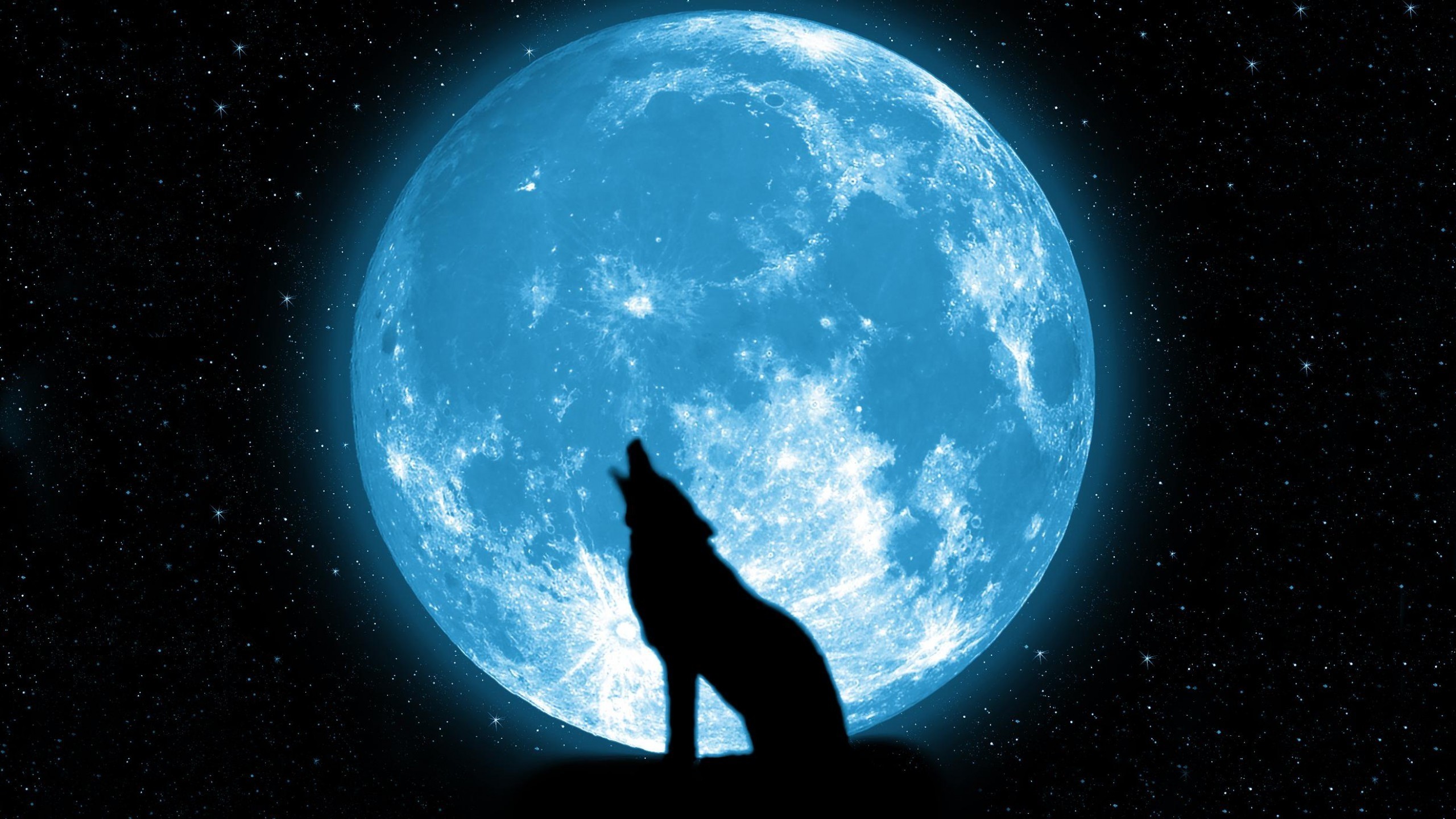 Wolf Howling at The Moon Wallpaper ·① WallpaperTag