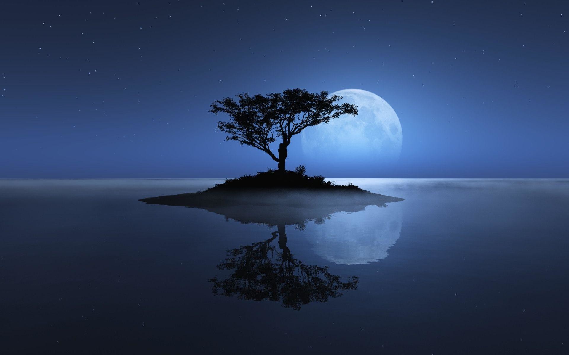 Lone tree, Island, Full moon, Night, Reflection, Full HD, laptop background