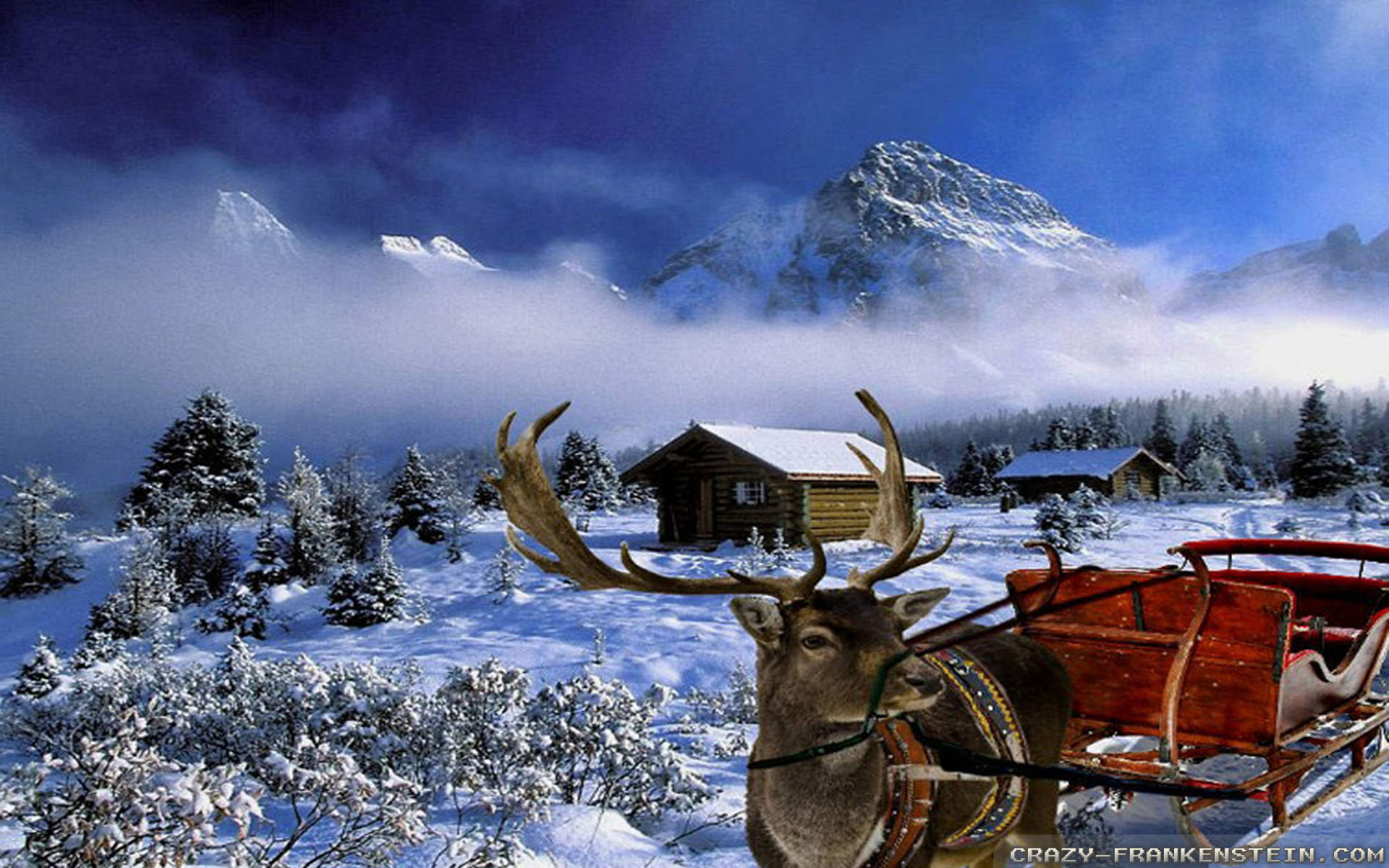 christmas snow scenery pictures