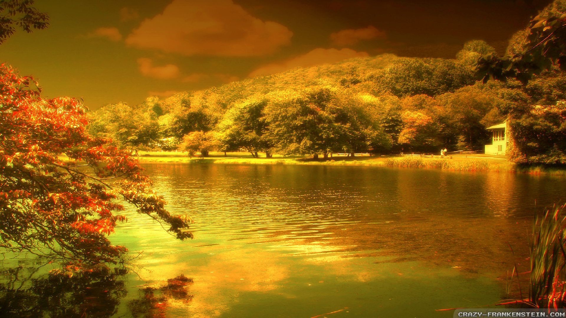 Lake, Golden light, Autumn, Trees, Full HD, Windows 11 wallpaper