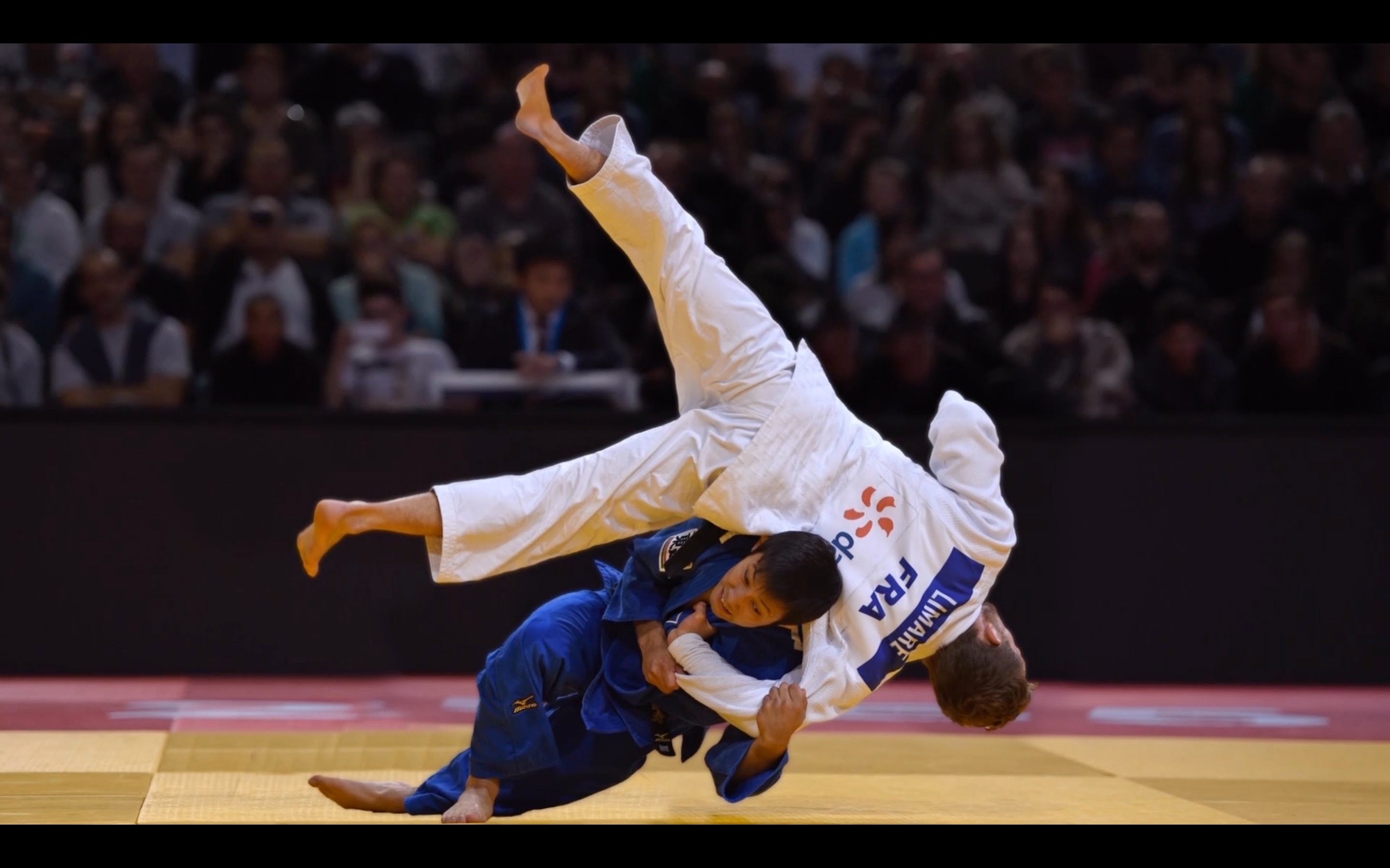 791517-download-judo-wallpaper-2880x1800-computer.jpg
