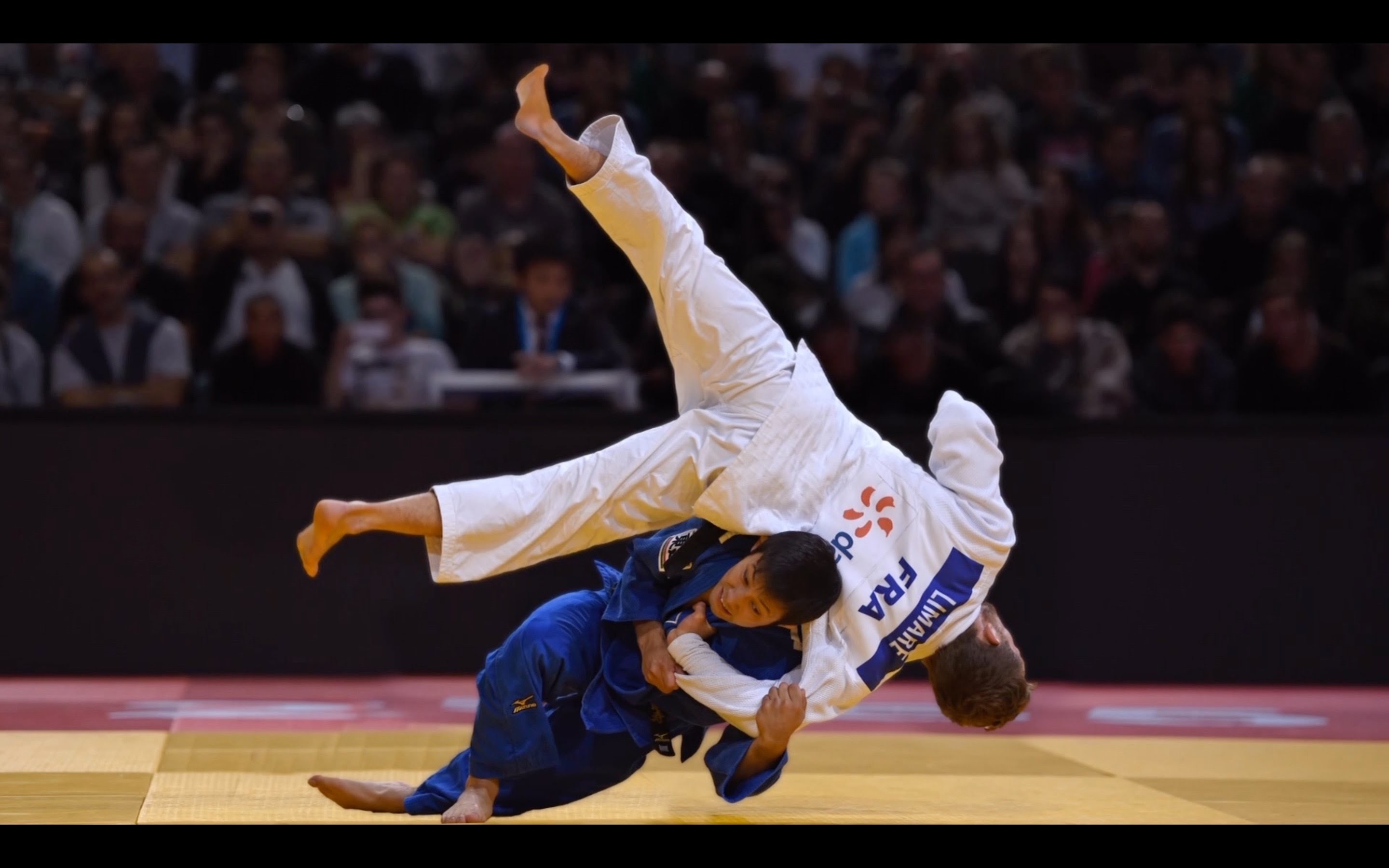 Best Of Judo Wallpaper Judo Wallpaper Wallpapertag Blog Karate