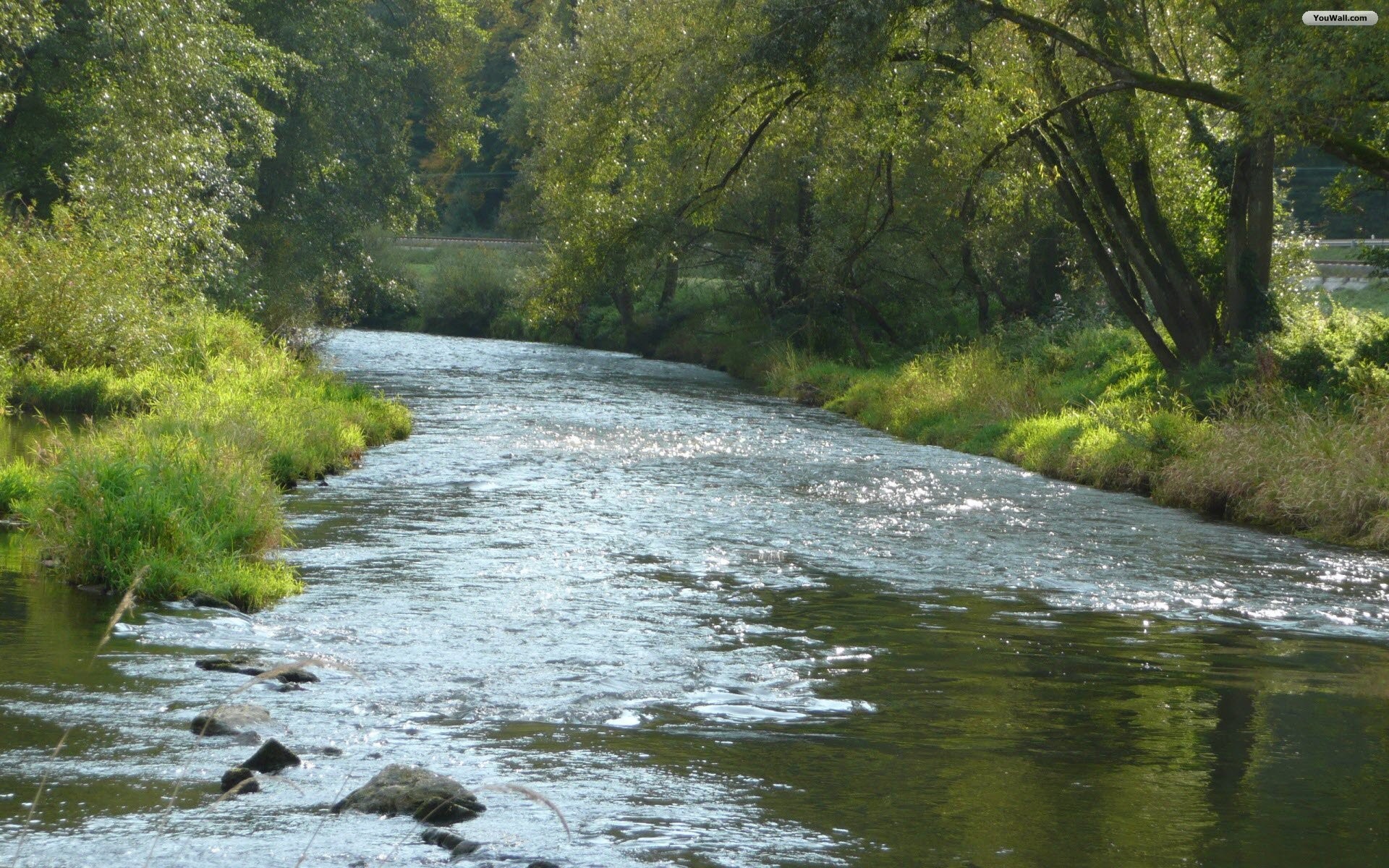 Река протекает через озеро. Река Заале. Река Заале Бавария. Река Сухайля. Река Явонь.
