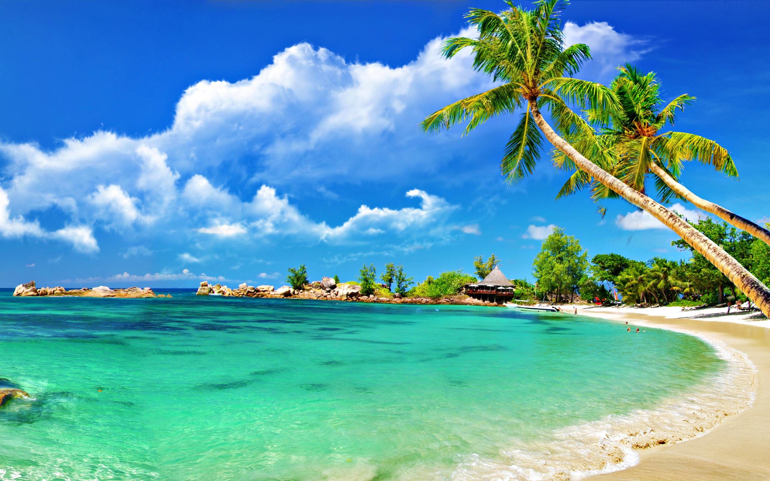 Info Terpopuler 15 Large Wallpaper Beach