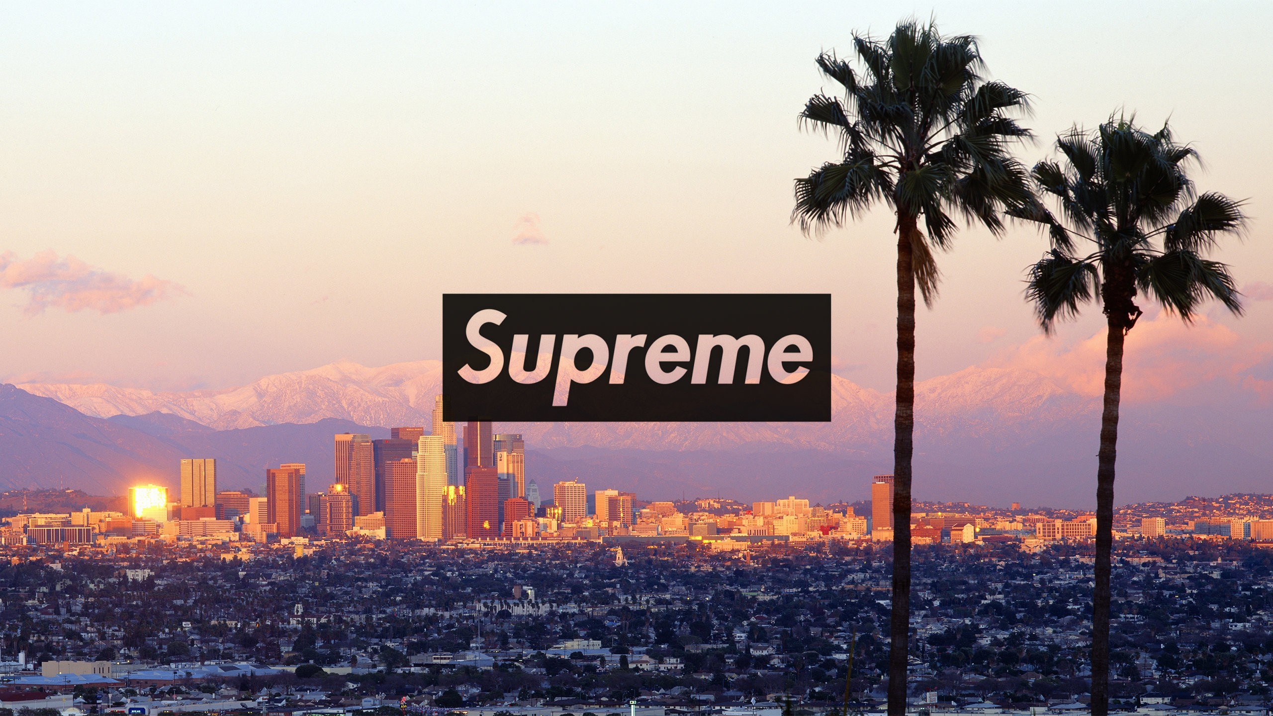 View Supreme Cool Eshay Wallpaper Background