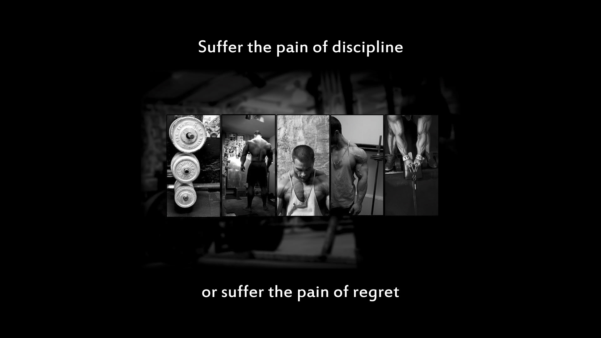 animal powerlifting wallpaper labzada