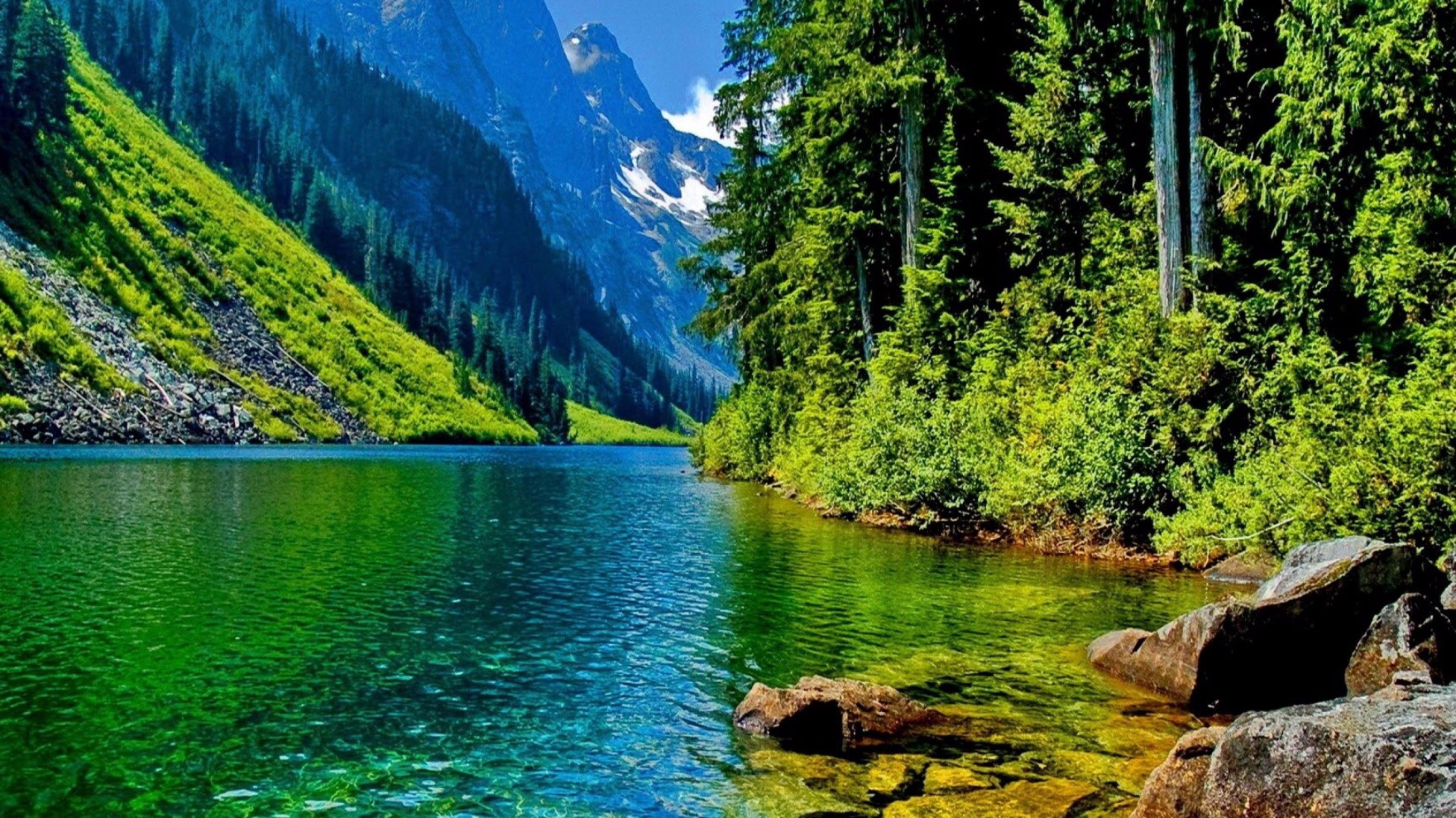 11 Nature 4K Images Free Download Pics