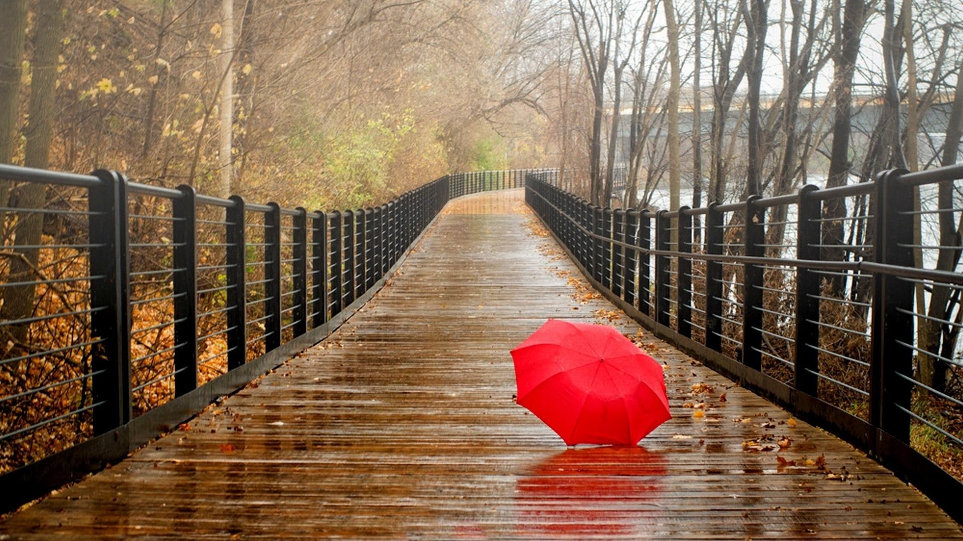 Umbrella Rainy Day Backgrounds