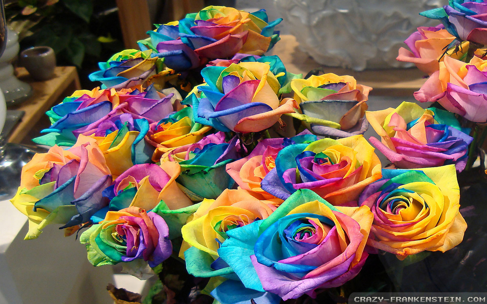 Rainbow Roses Background ·① Wallpapertag